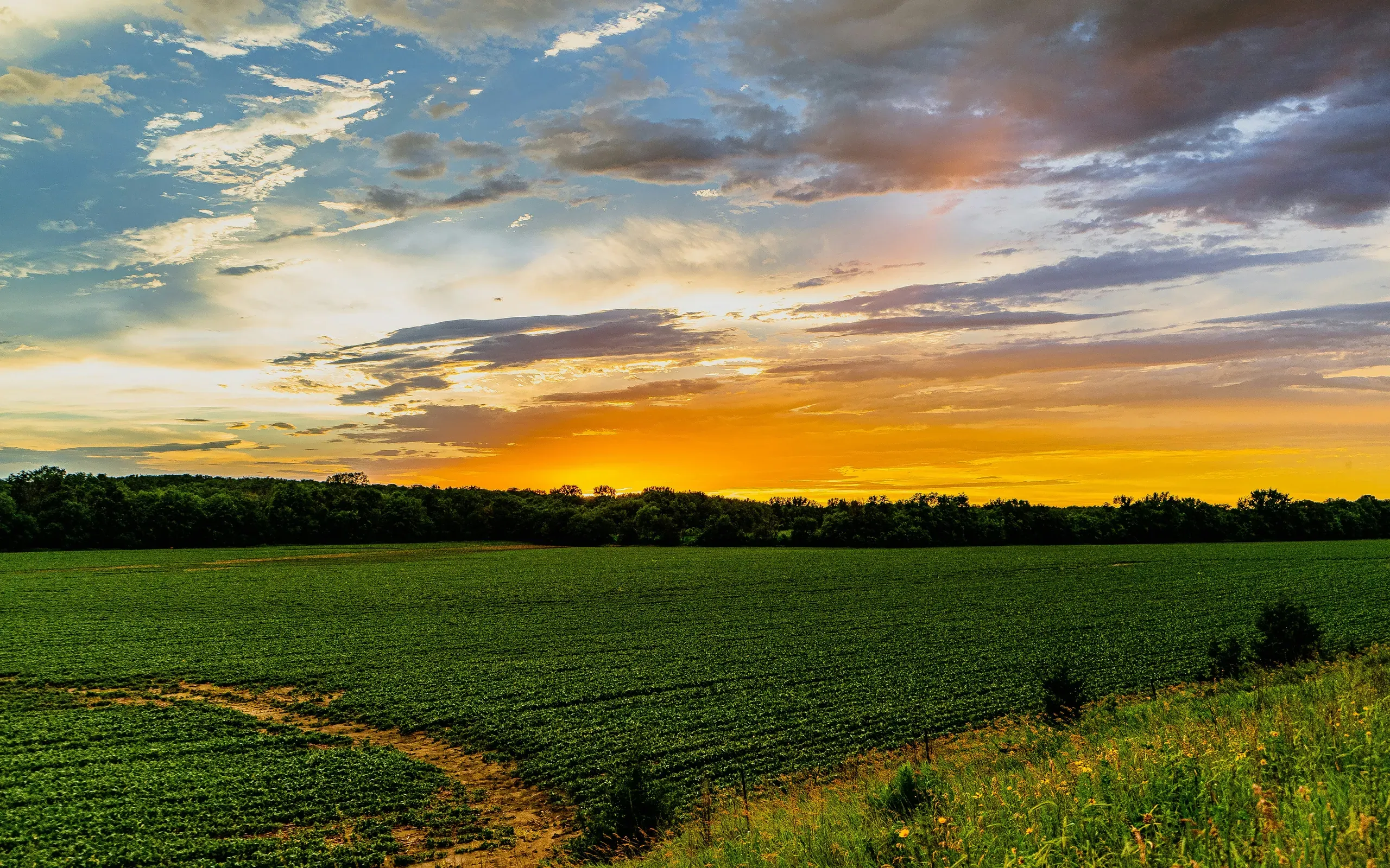 Sunset in rural Iowa