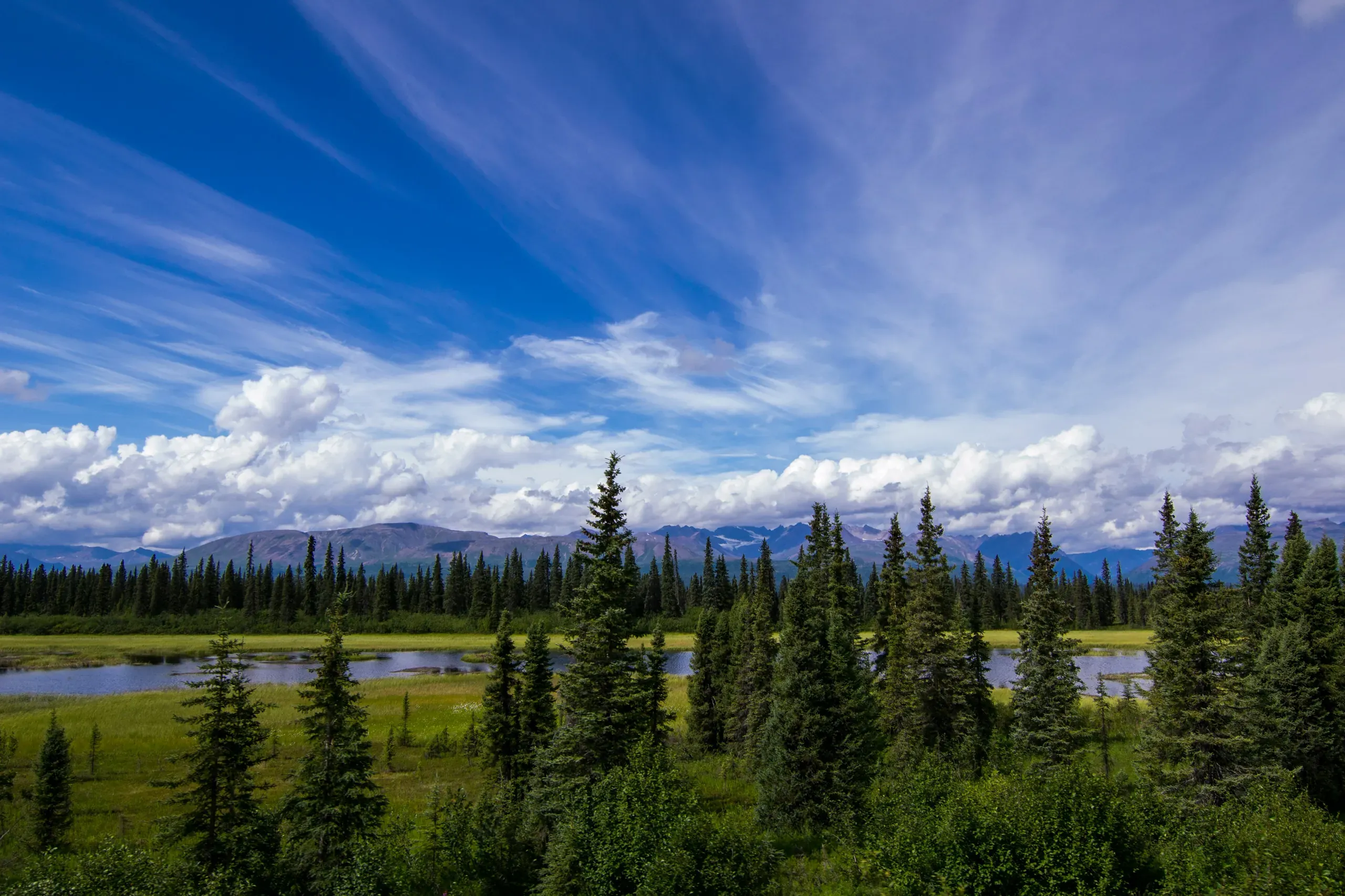 Near Denali, Alaska