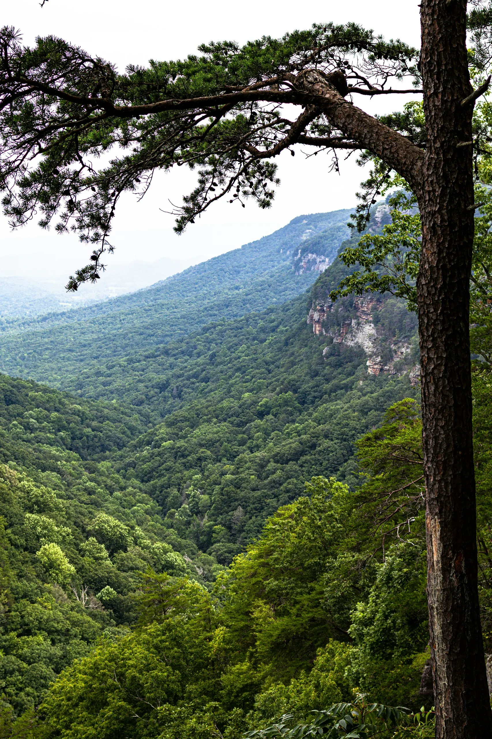 Cloudland Canyon State Park, Cloudland Canyon Park Road, Rising Fawn, Georgia