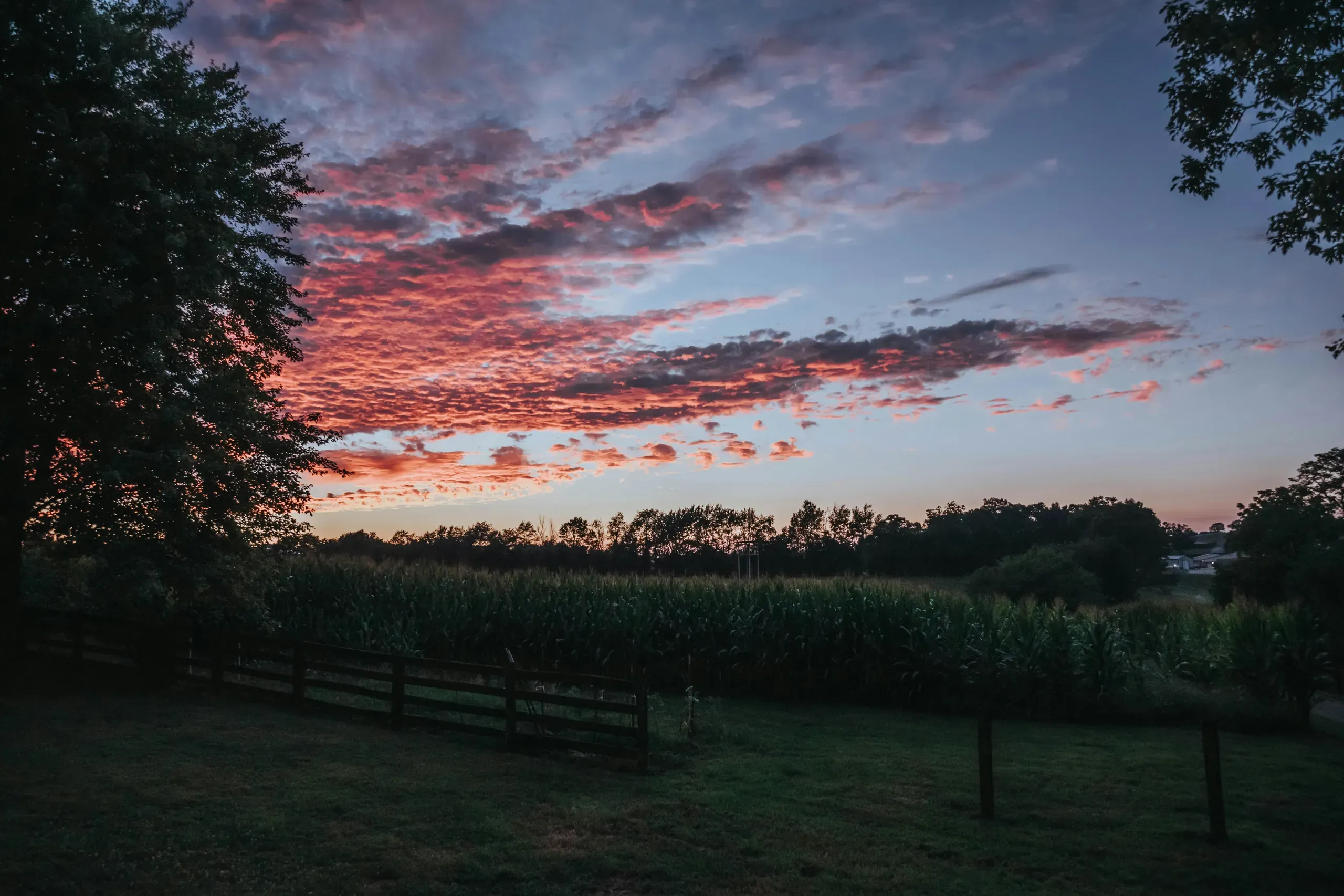 Kentucky sleeps
