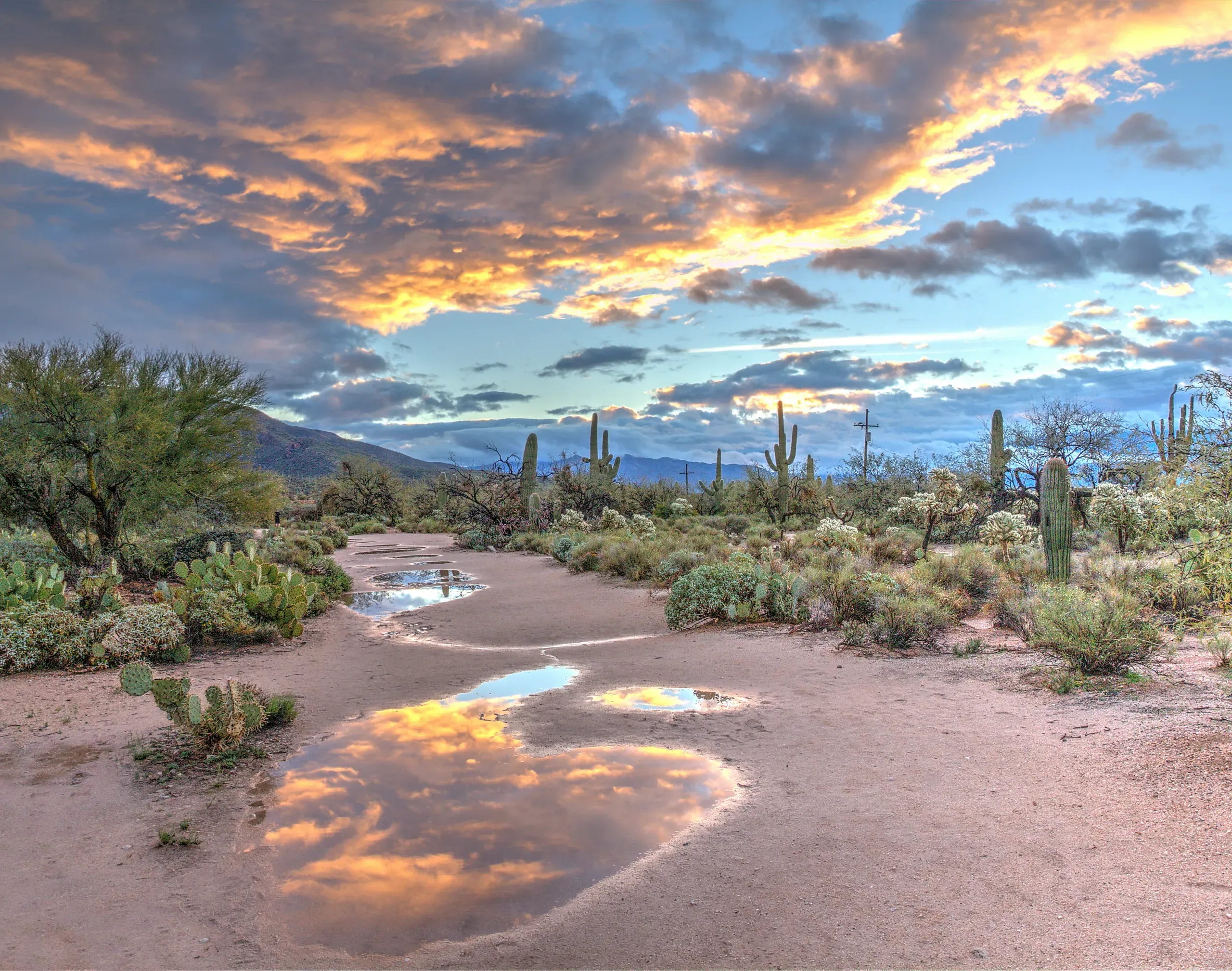 Desert Sunrise at Sabino Canyon, Arizona