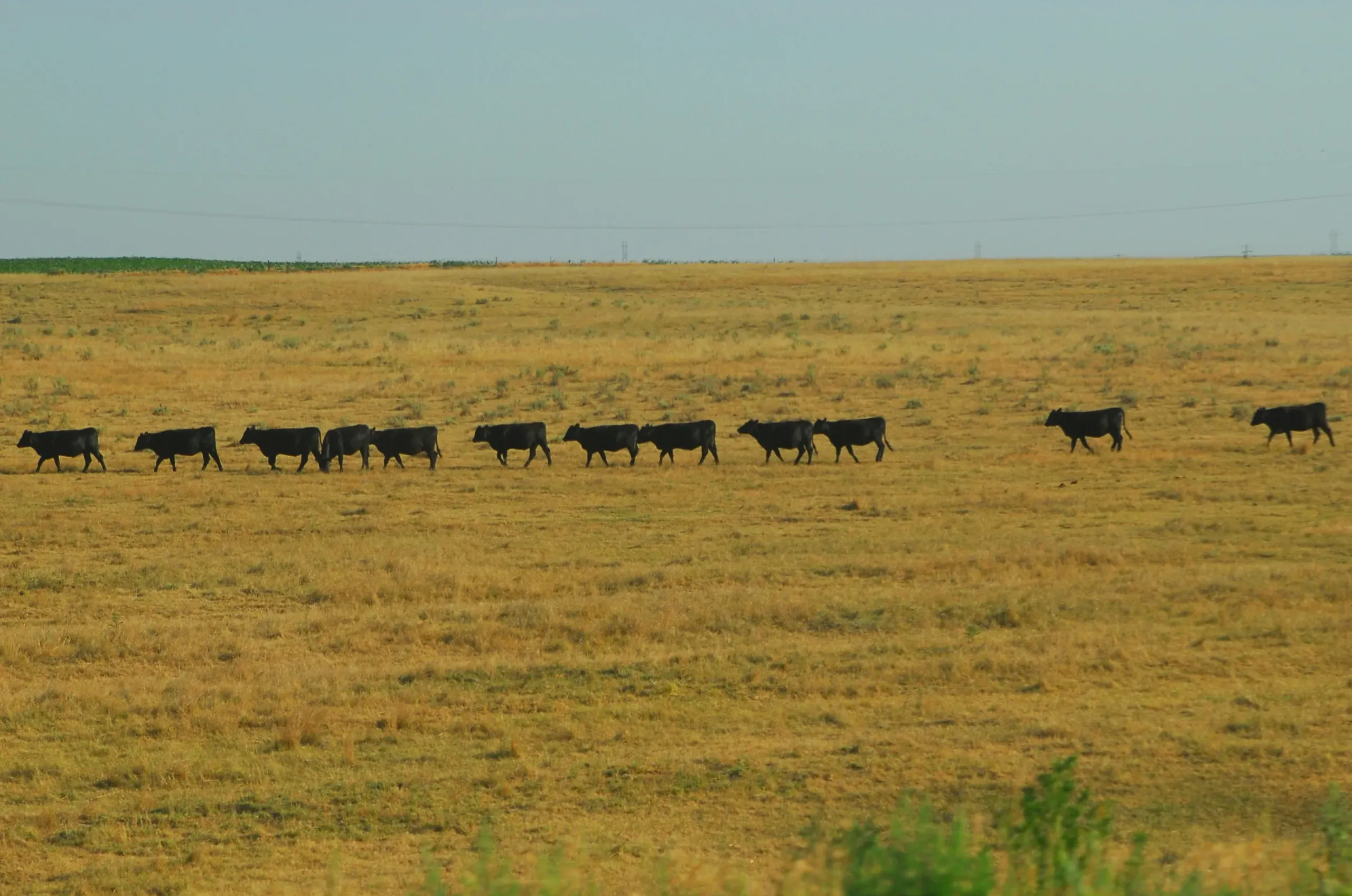 Near Ogallala, Nebraska