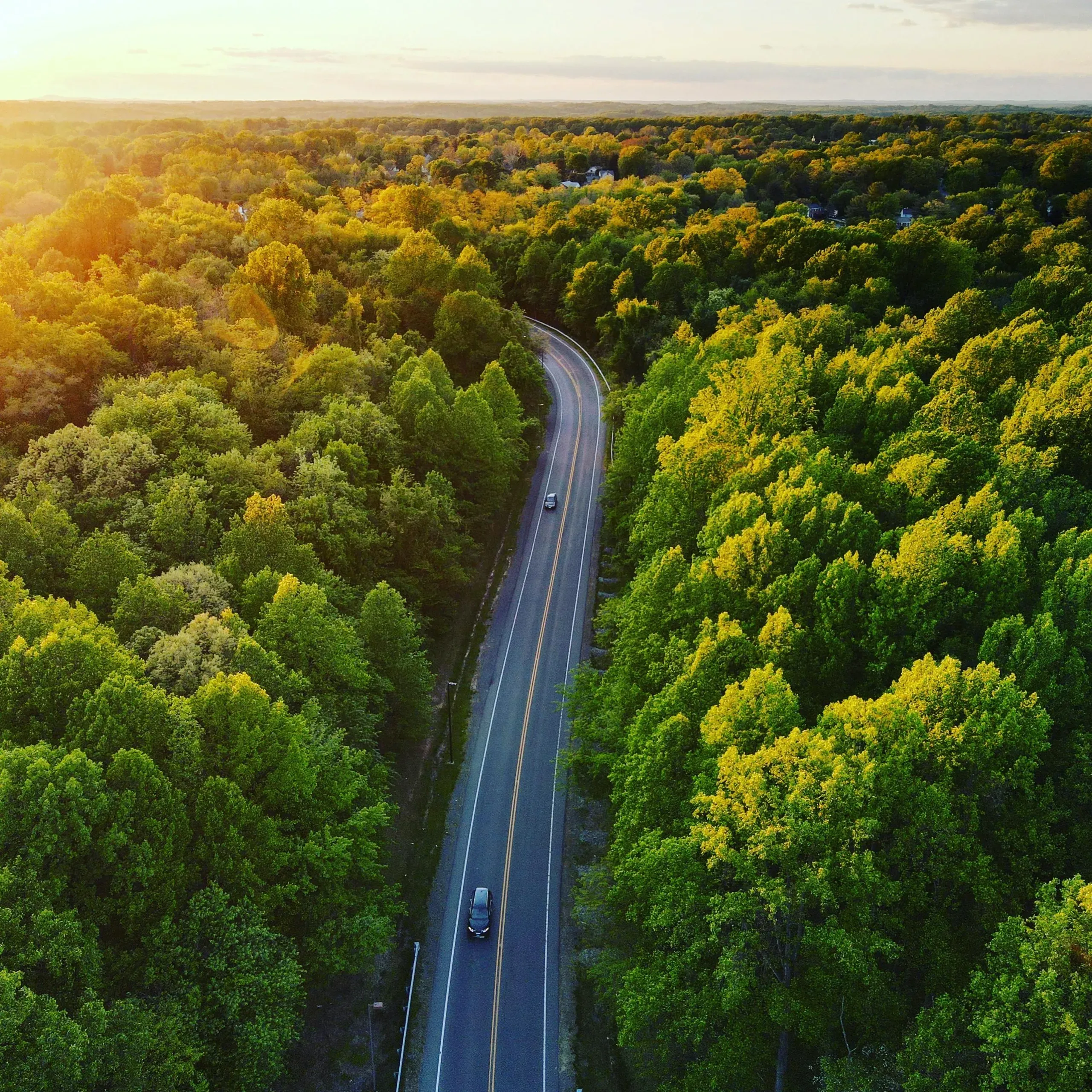Colesville, Maryland. Aerial view of asphalt road through abundant forest