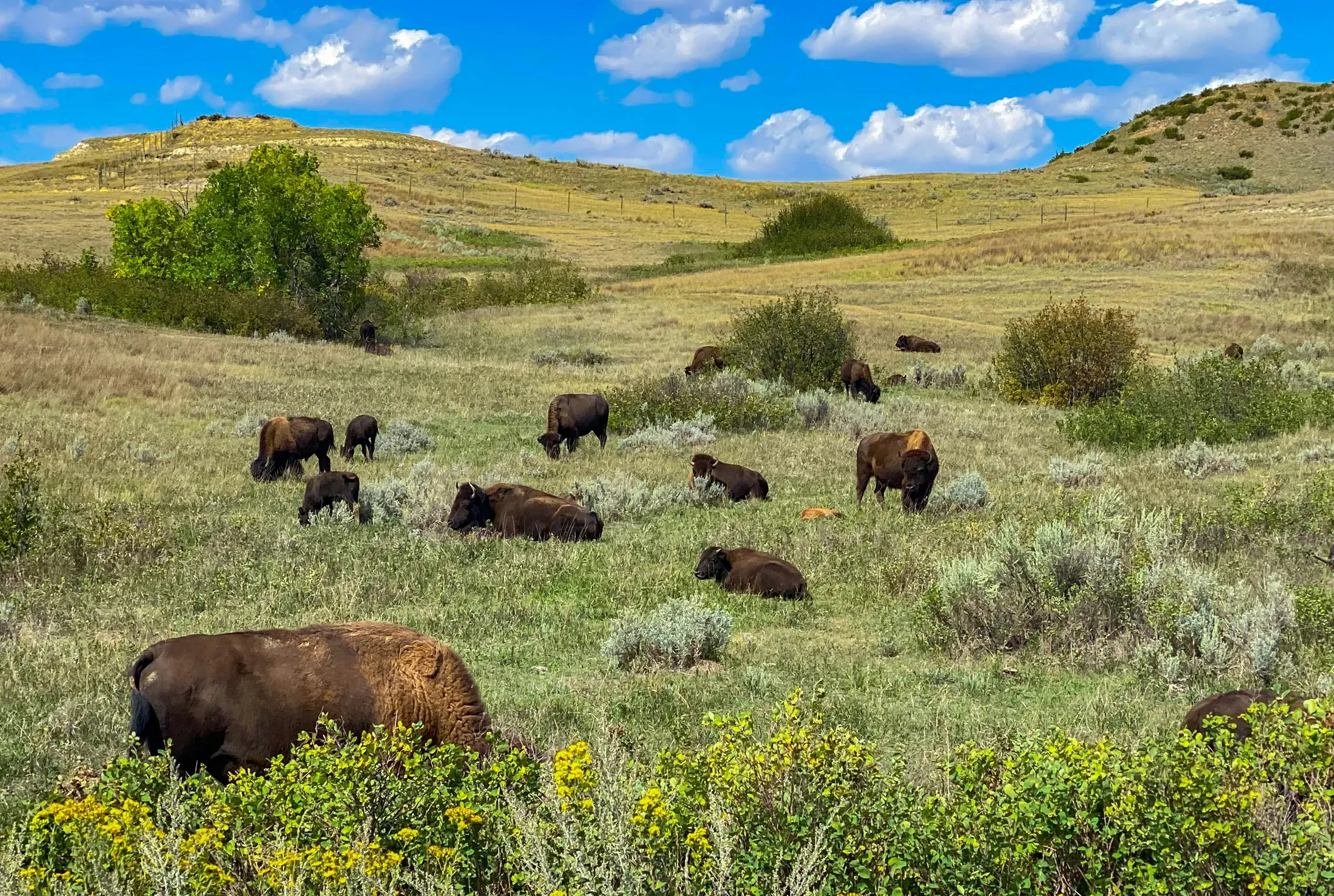 Theodore Roosevelt National Park, North Dakota