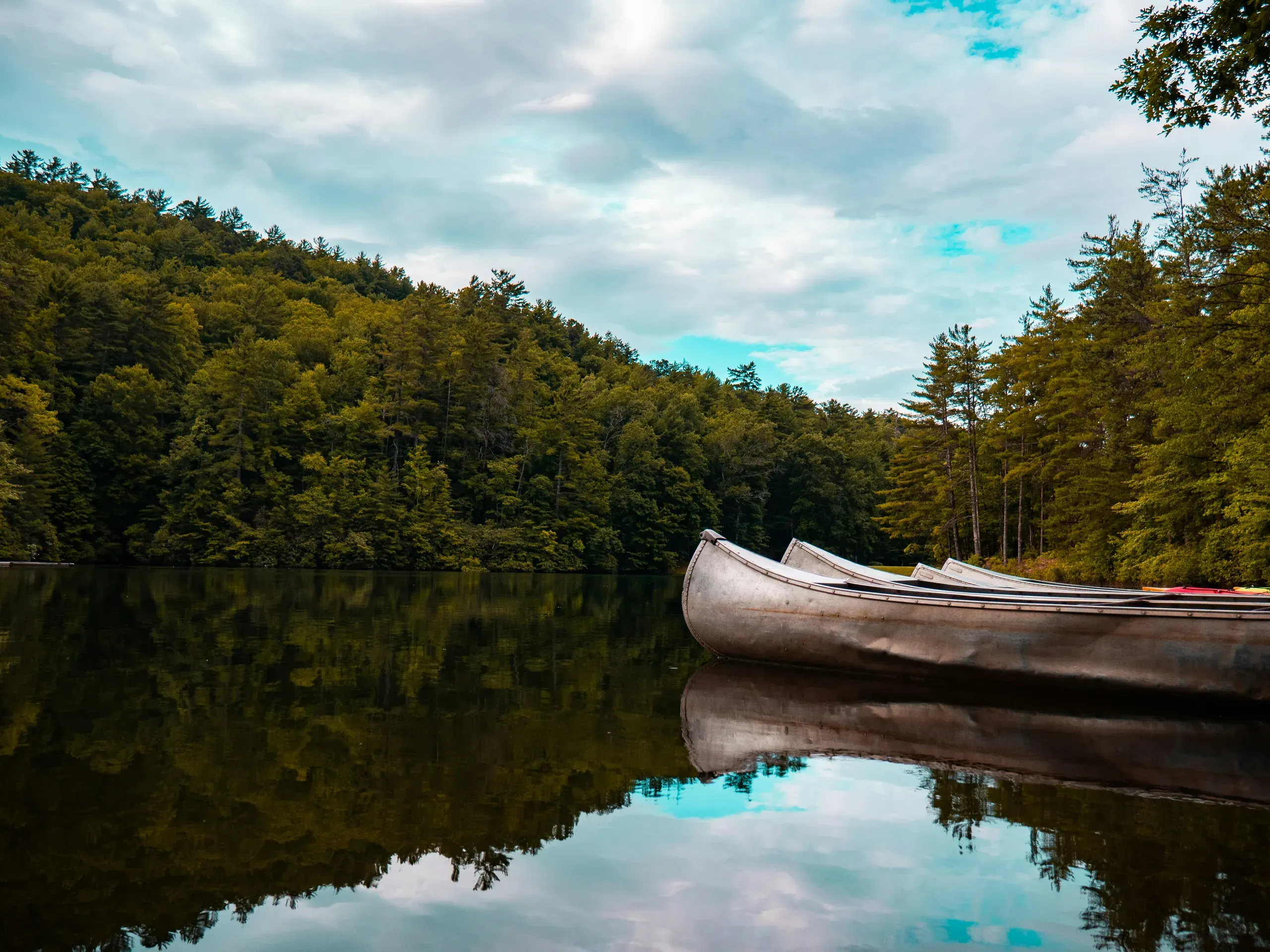 The Wilds, Brevard, North Carolina