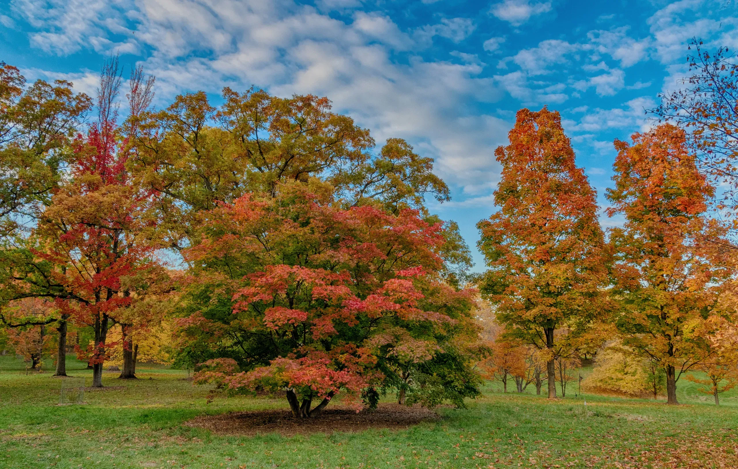 The Morton Arboretum, Lisle, Illinois