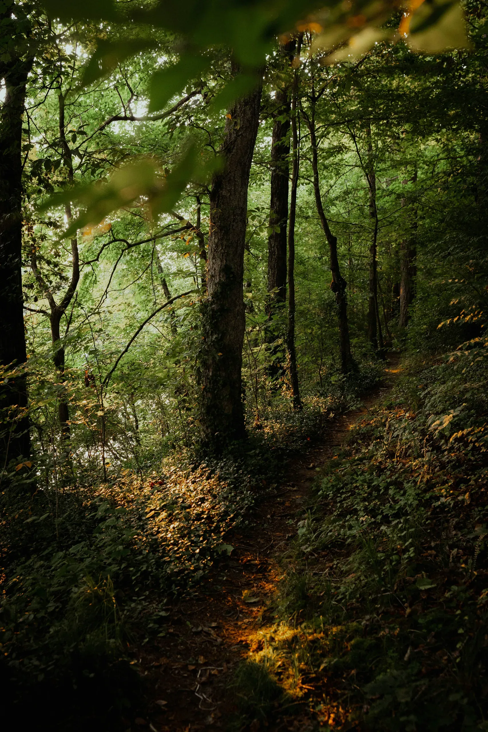 Kentucky