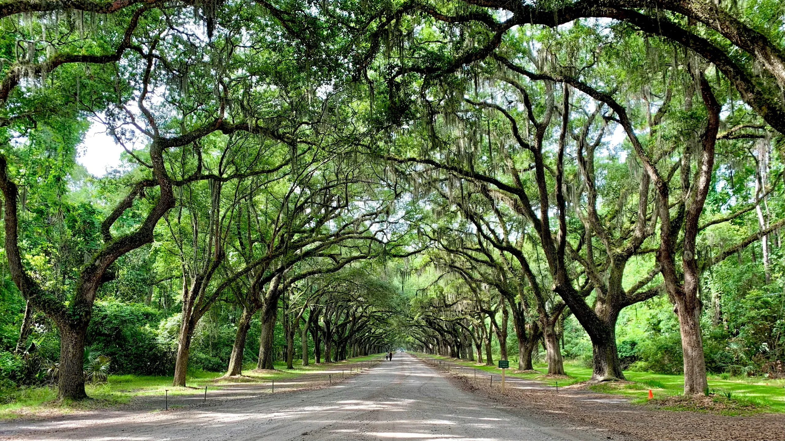 Wormsloe Historic Site, Savannah, Georgia