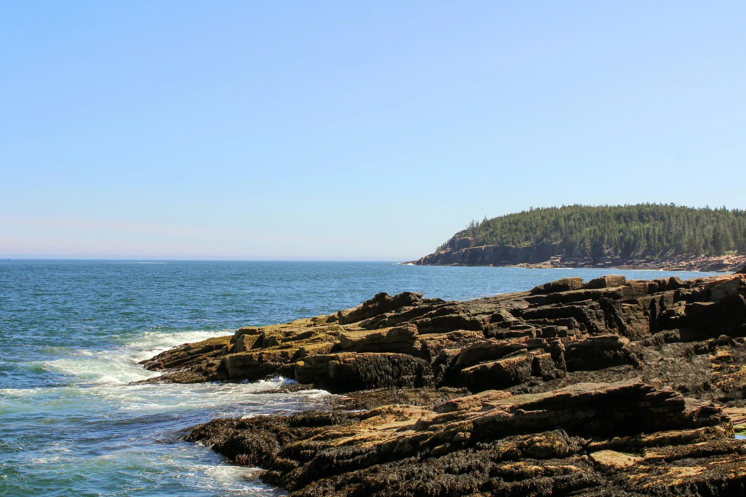 The brown, rocky shore of a lake in Acadia National Park, lined with green trees, under a daytime sky in Bar Harbor, Maine.