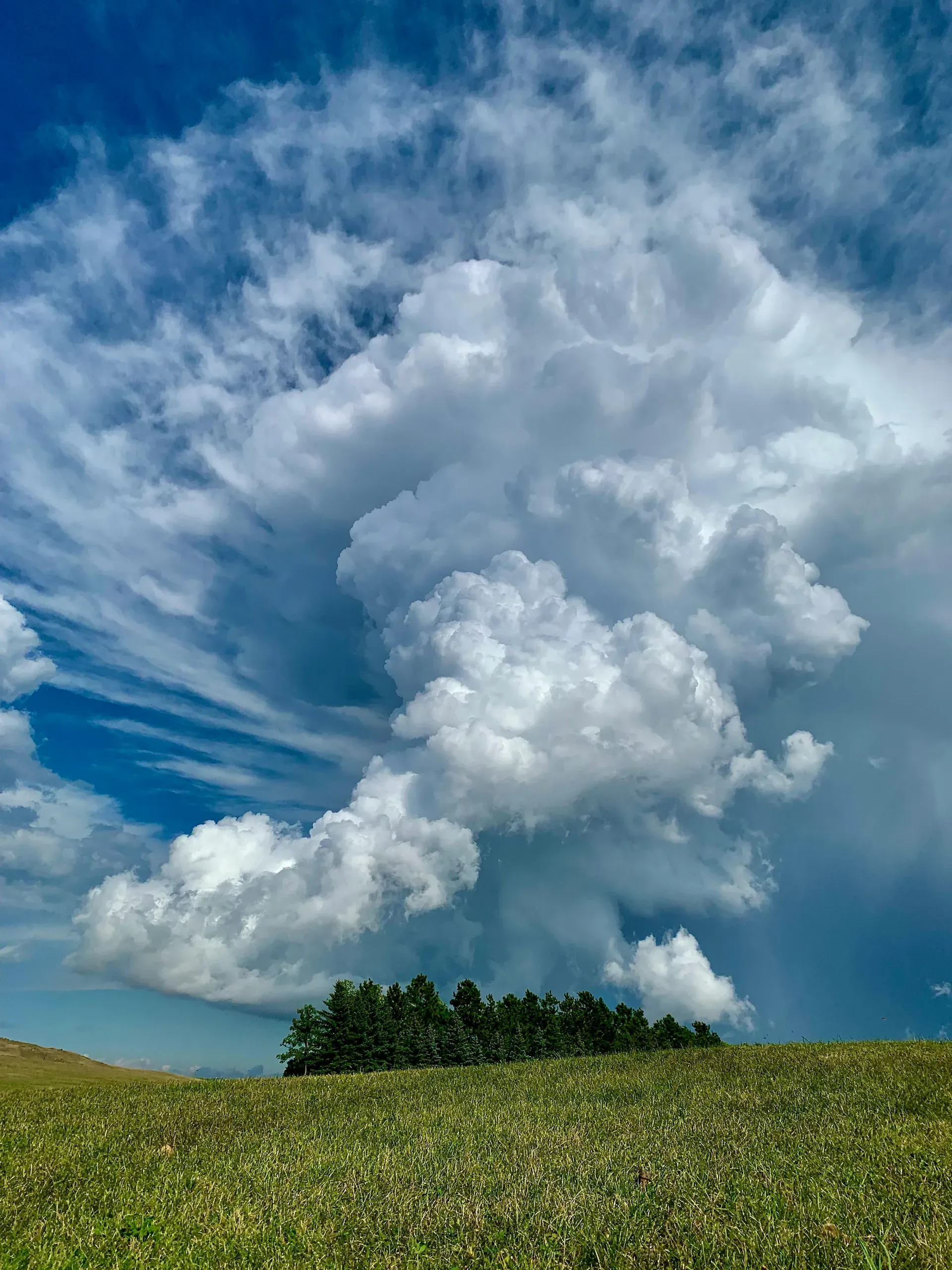 Bismarck, North Dakota. Trees on hill under clouds