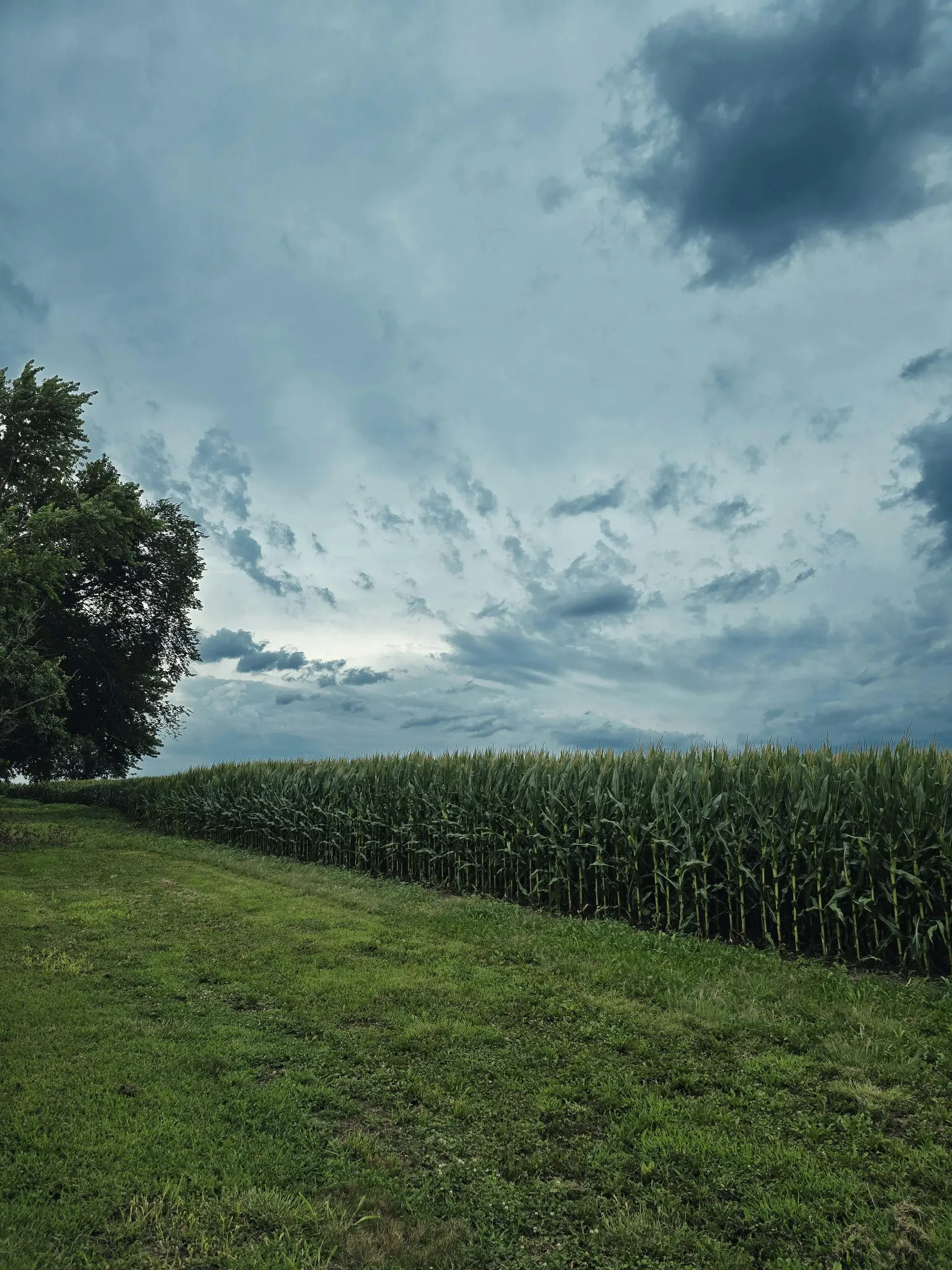 Louisburg, Kansas. View of a meadow and a cropland