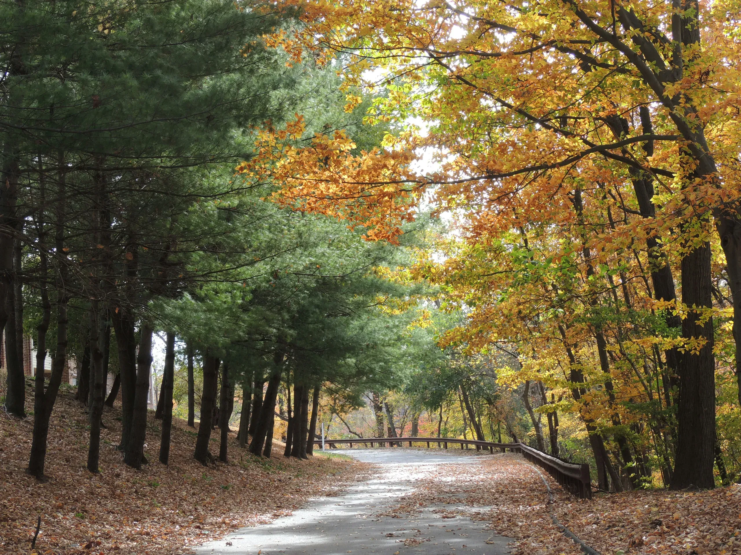 Cockeysville, Maryland
