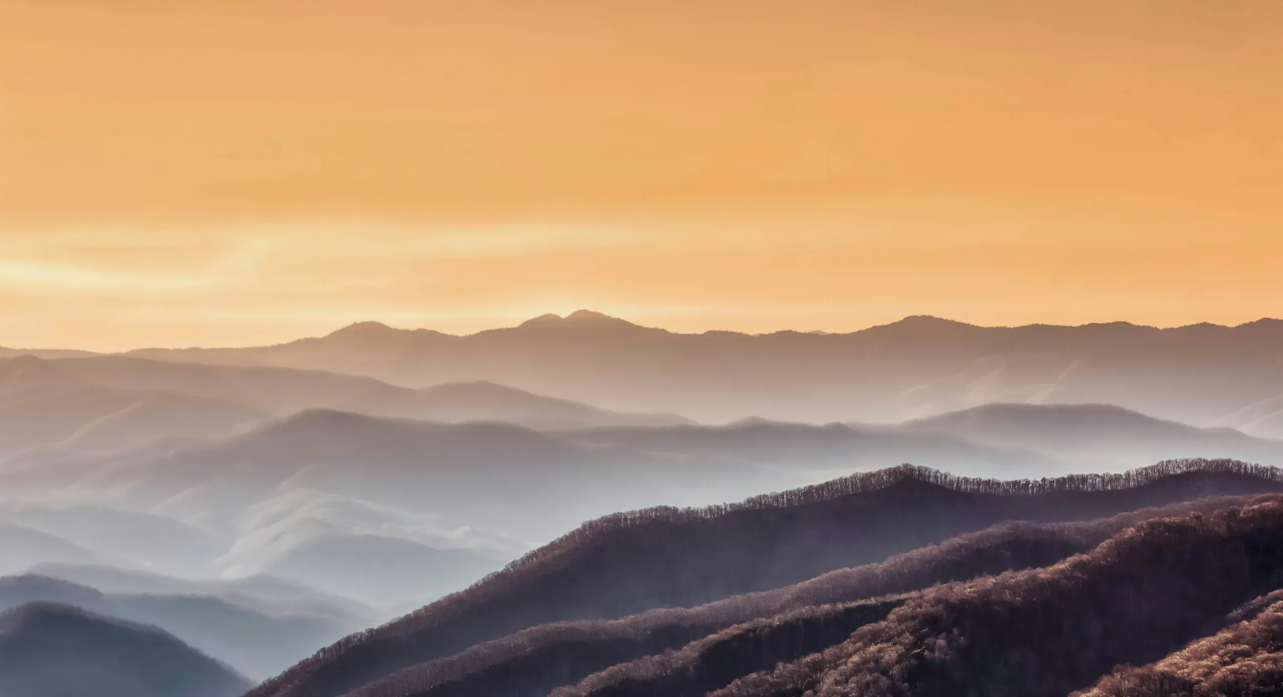 Newfound Gap, Great Smoky Mountains National Park, Tennessee. The first rays of the sun falling on the smoky mountains