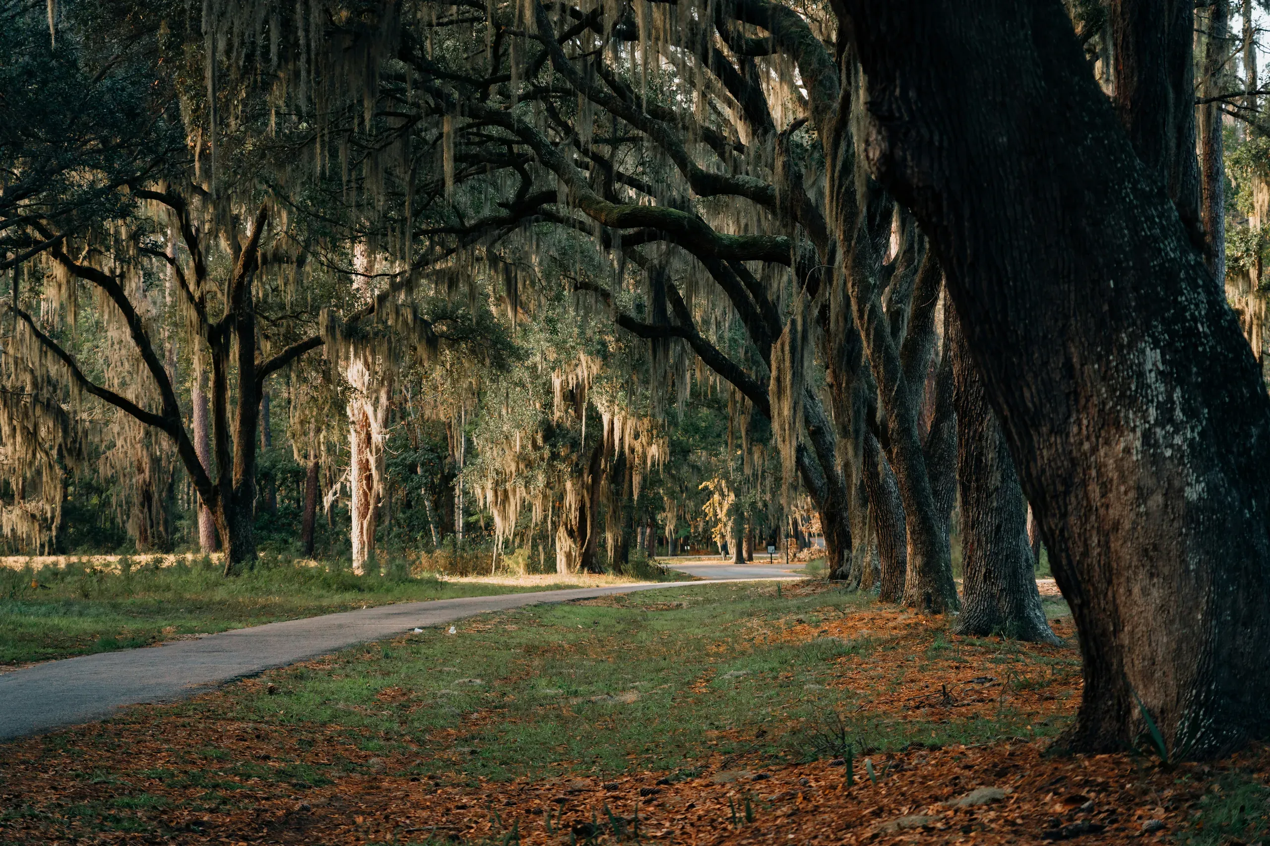 Daufuskie Island, South Carolina