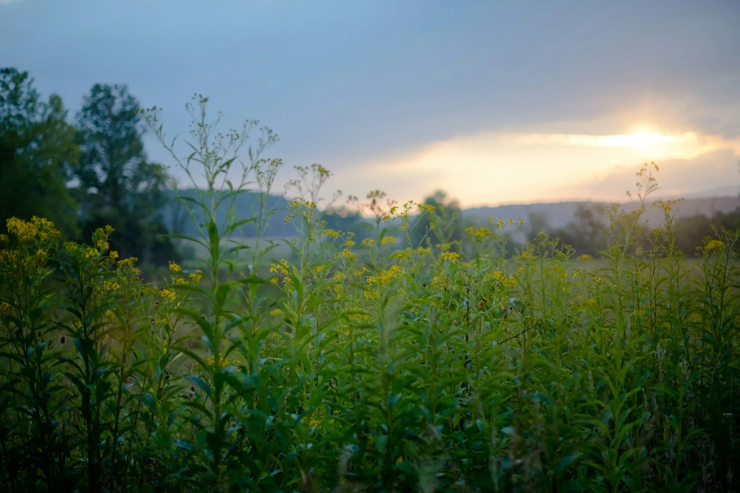 A sunrise country scene in West Virginia