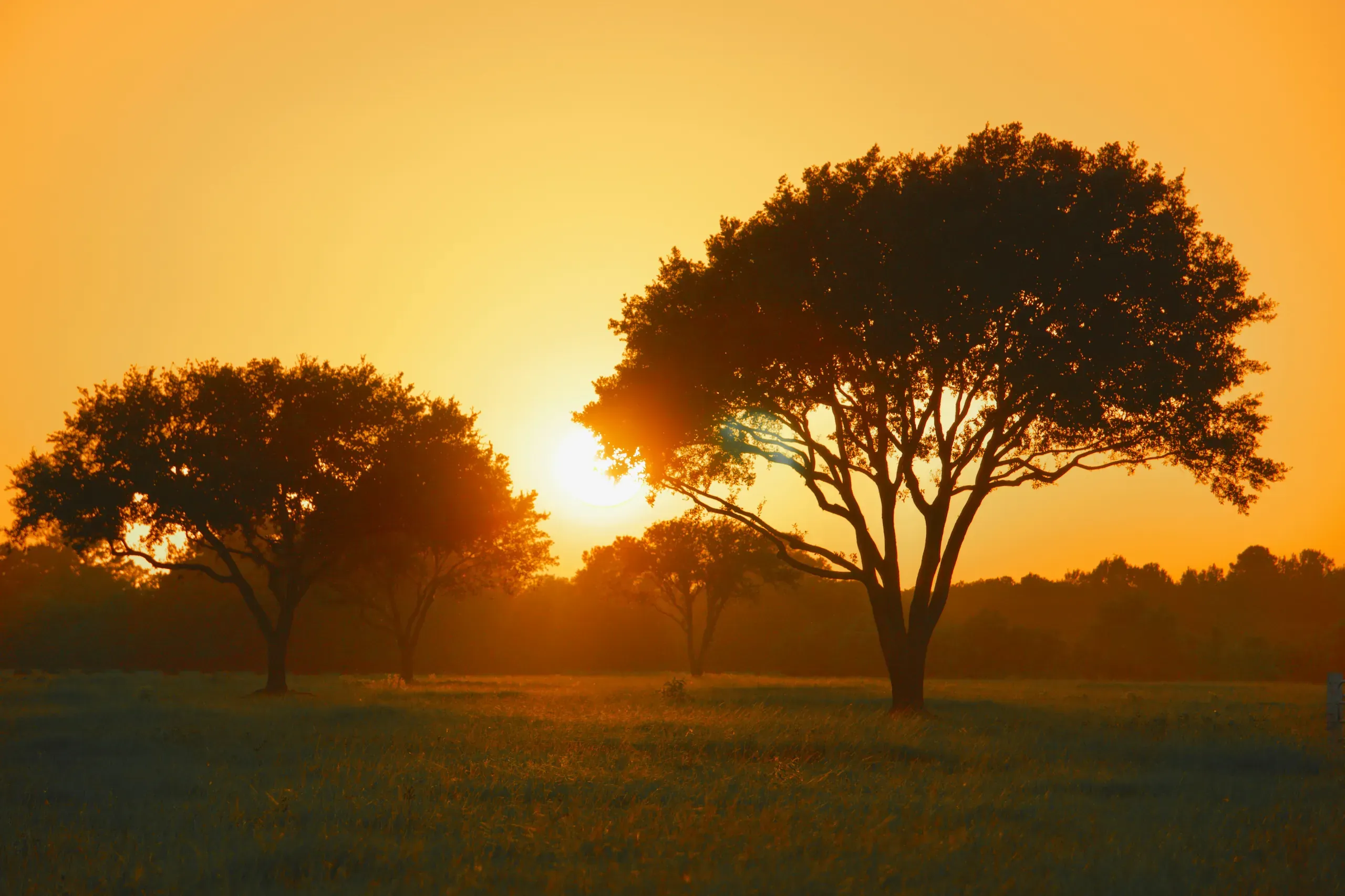 Tomball, Texas