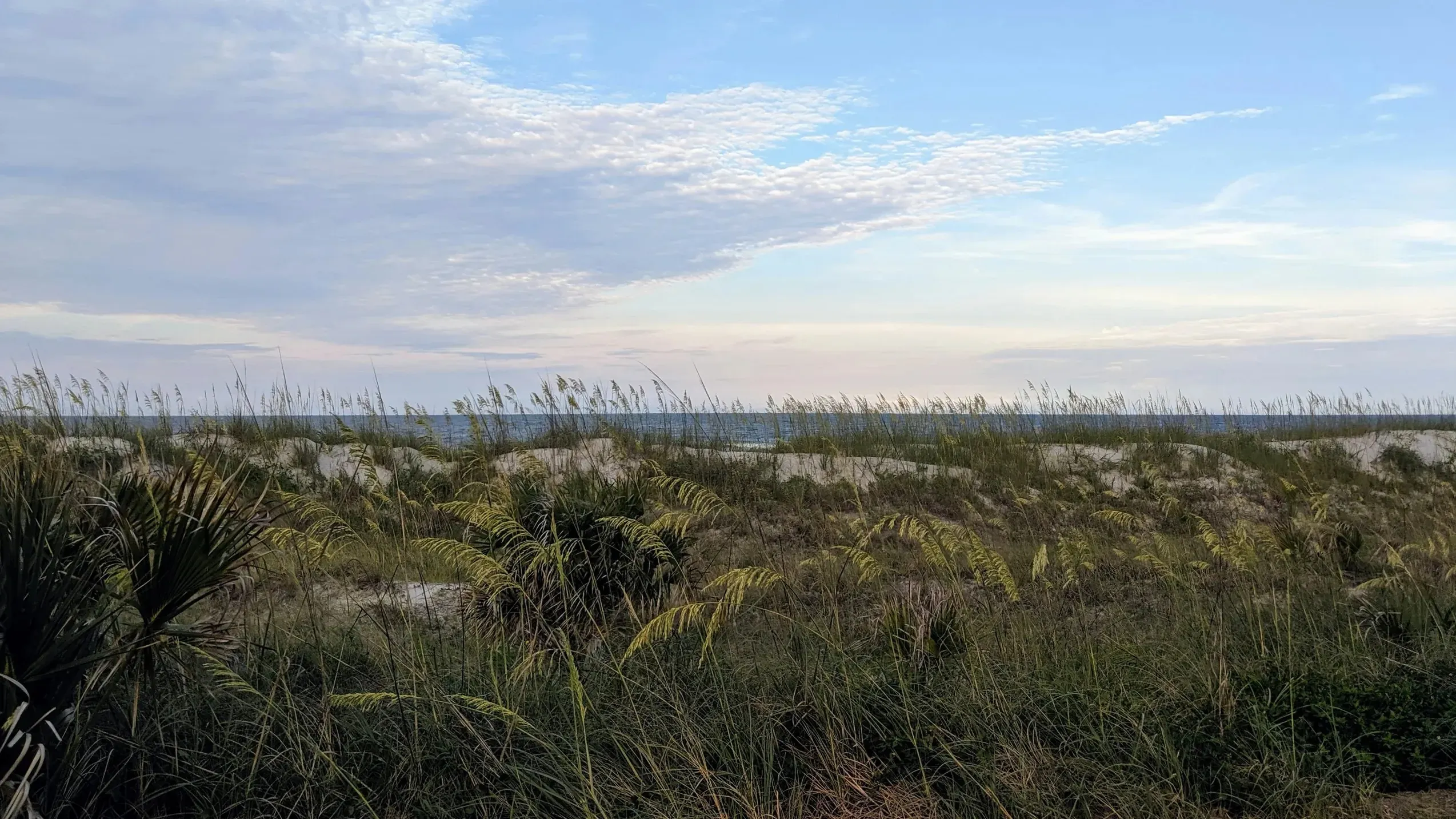 Oceanfront Park, Jacksonville Beach, Florida