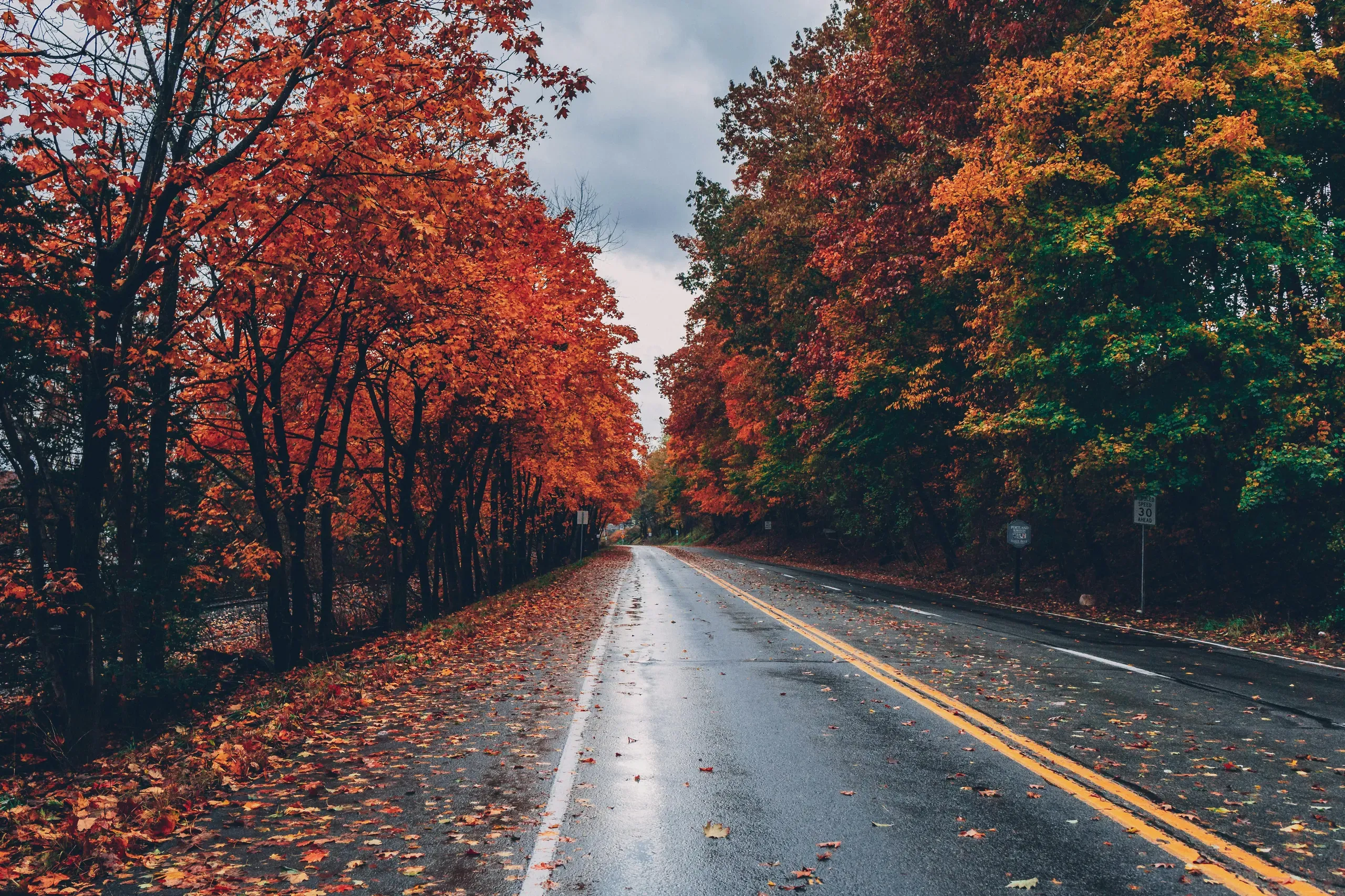Long Pond, Pennsylvania. Road between trees