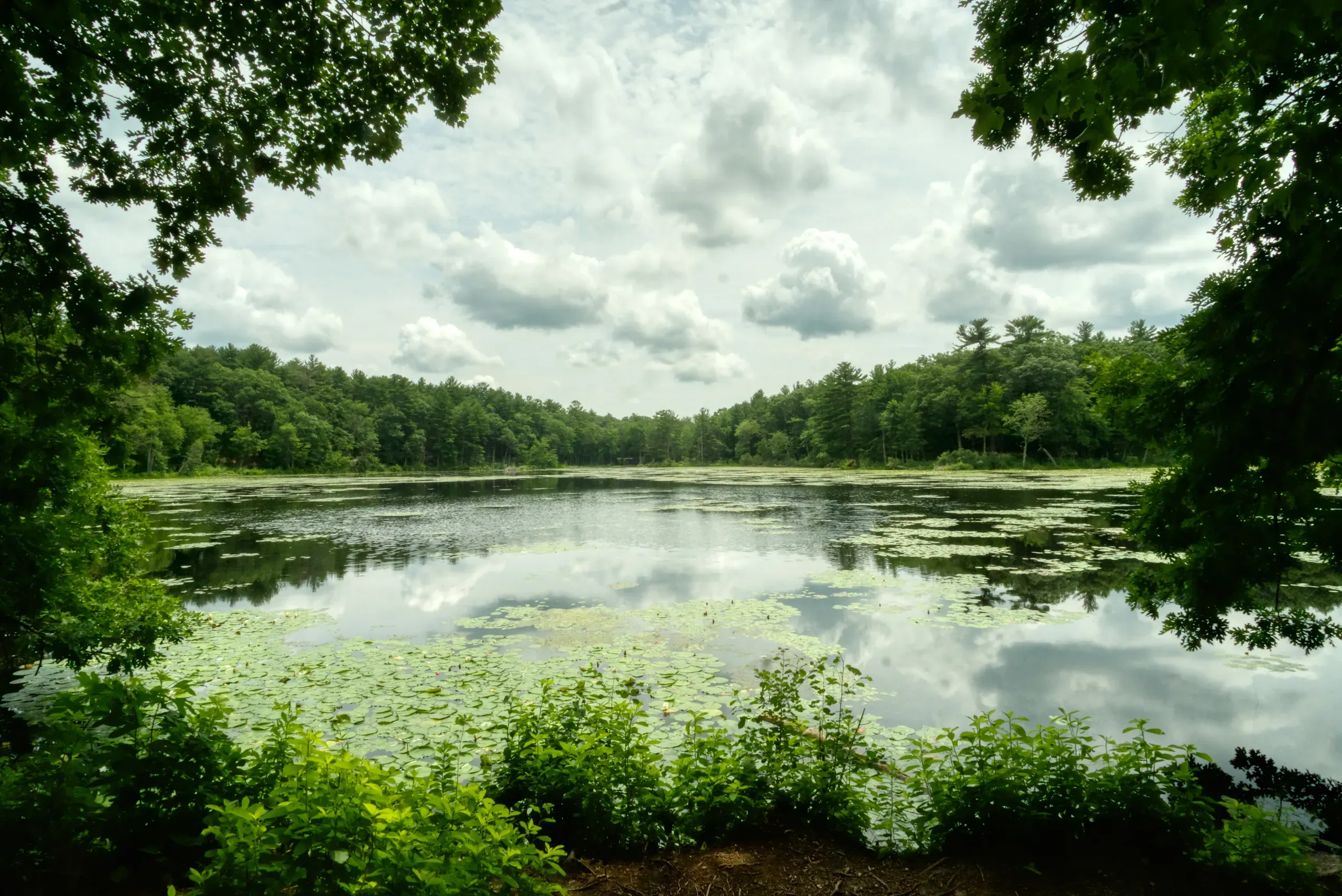 Fawn Lake, Bedford, Massachusetts