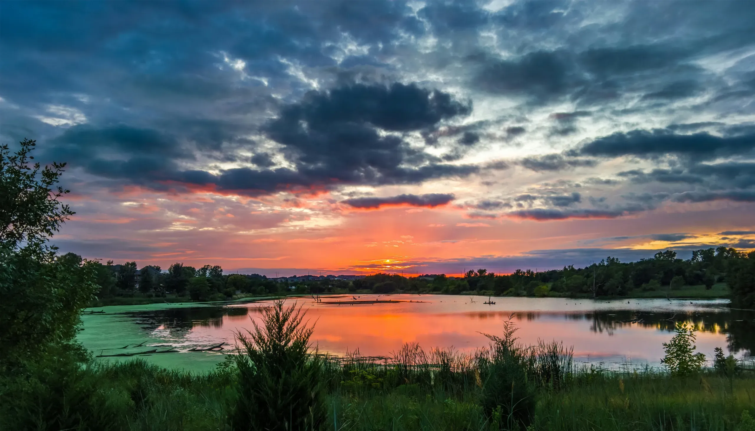 Lake Vista Cir, Papillion, Nebraska