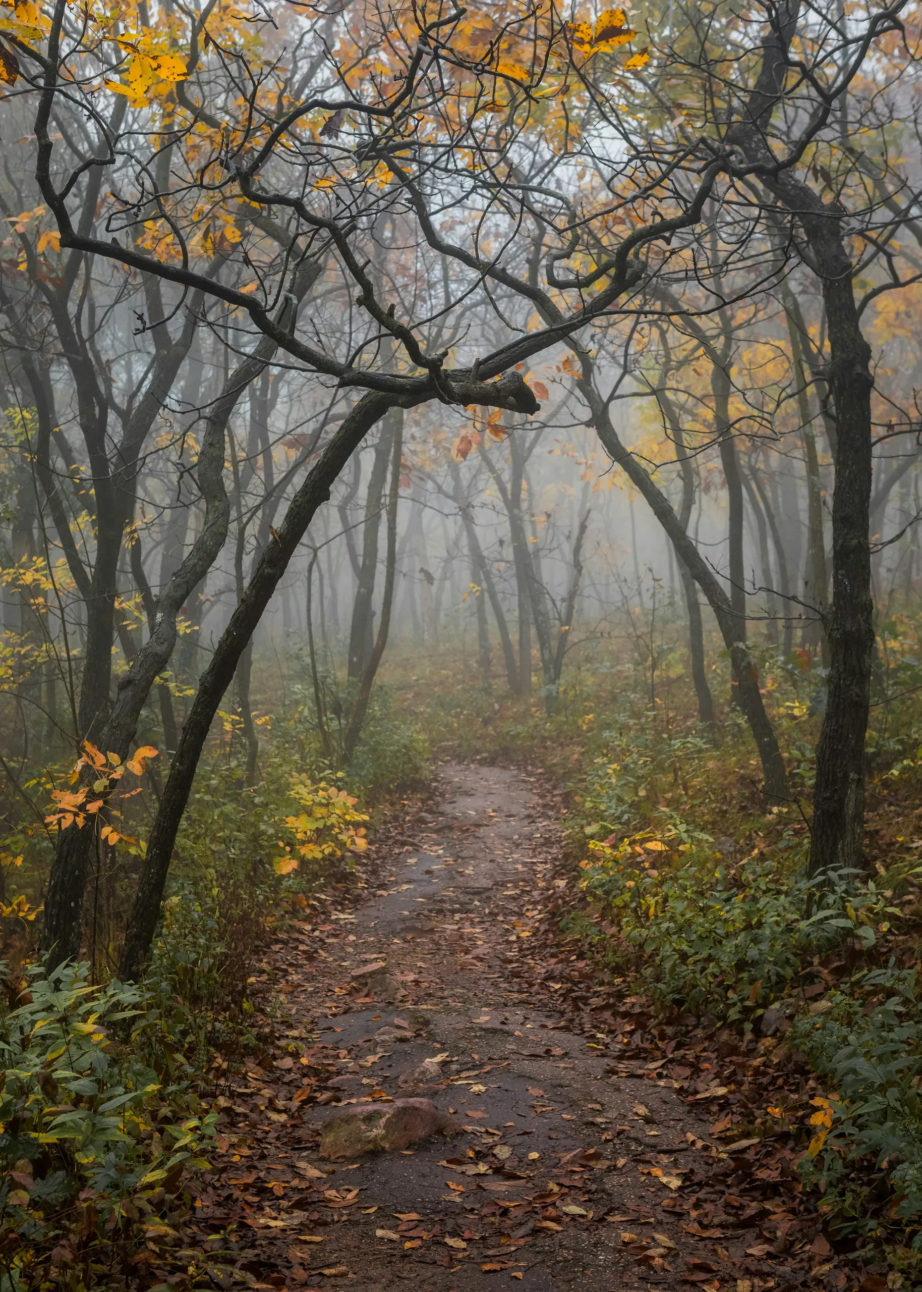 Devils Lake, Wisconsin