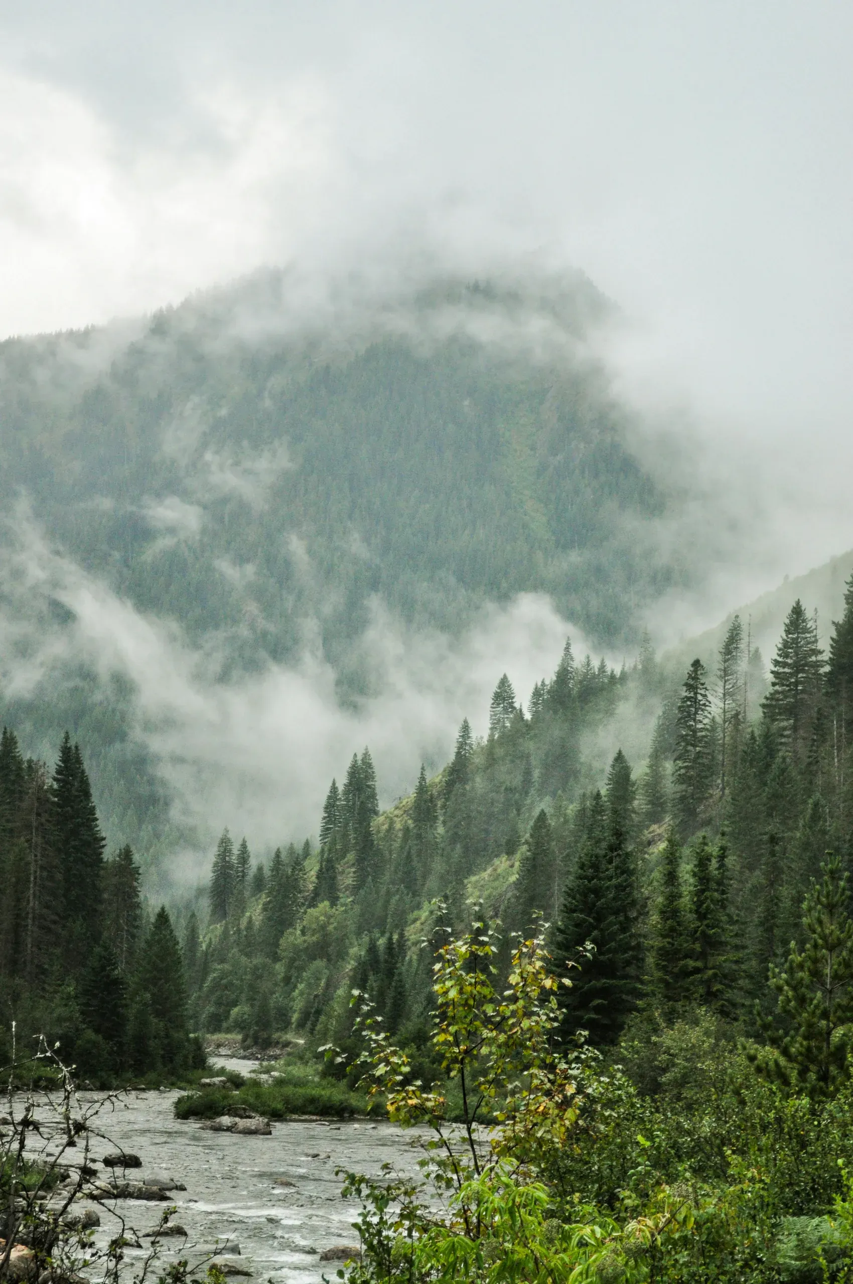 Idaho