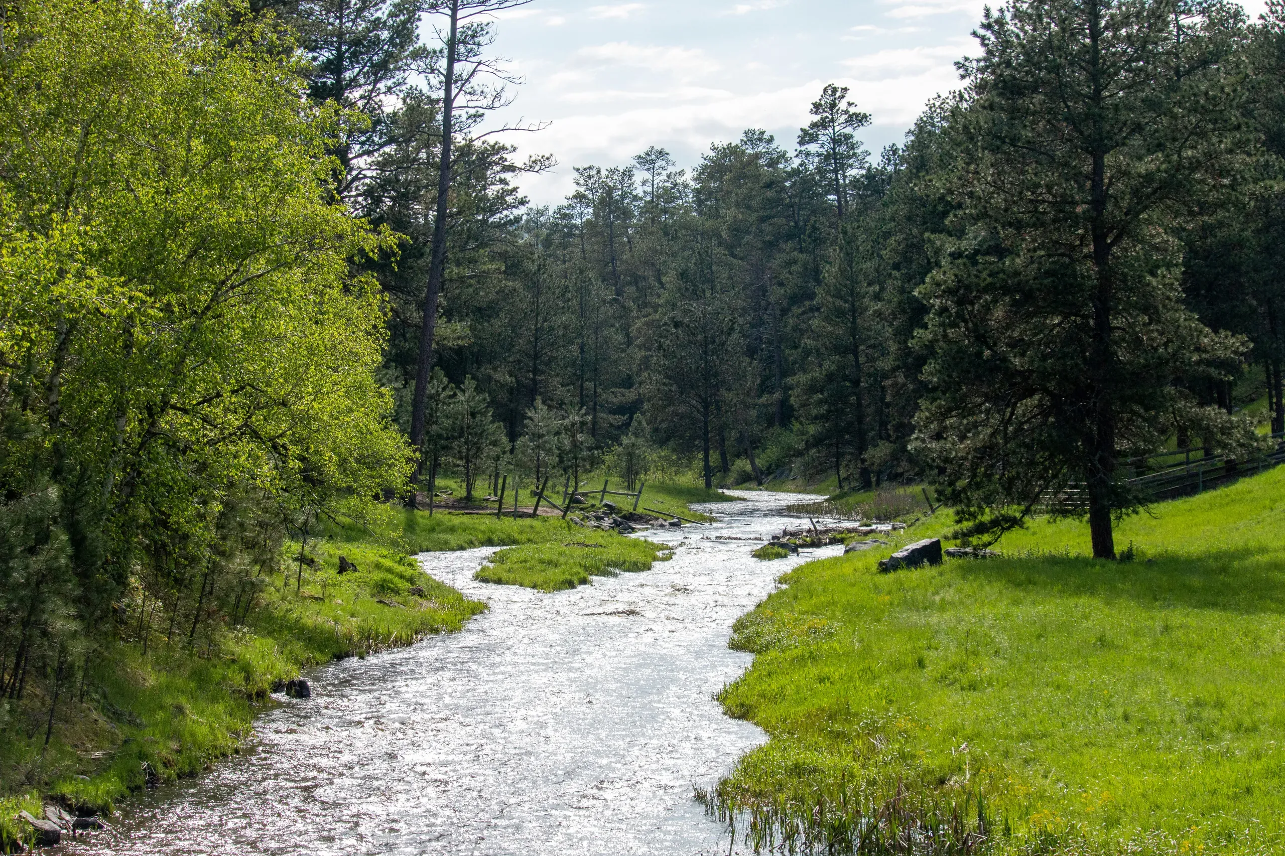 Custer State Park, South Dakota