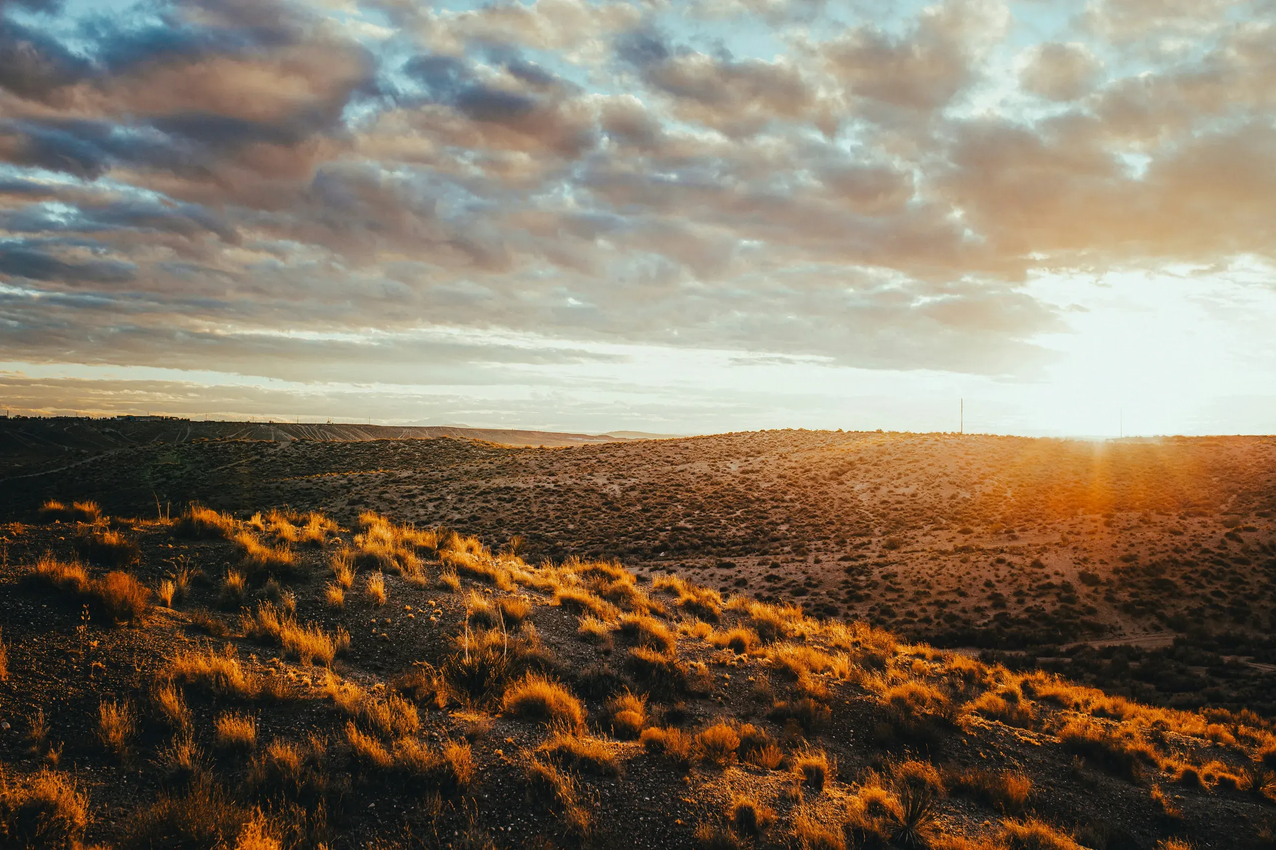 New Mexico
