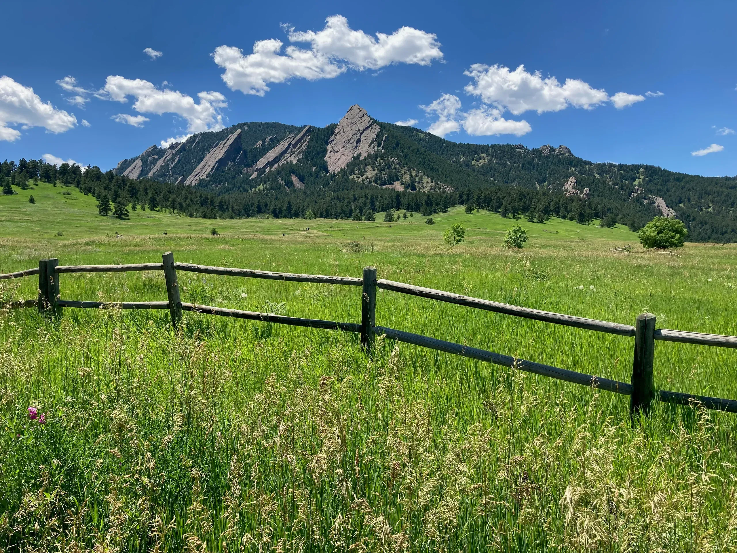 Boulder, Colorado. An idyllic summer day. After a cool wet spring a beautiful green space unfolds before Boulder's iconic Flatirons.