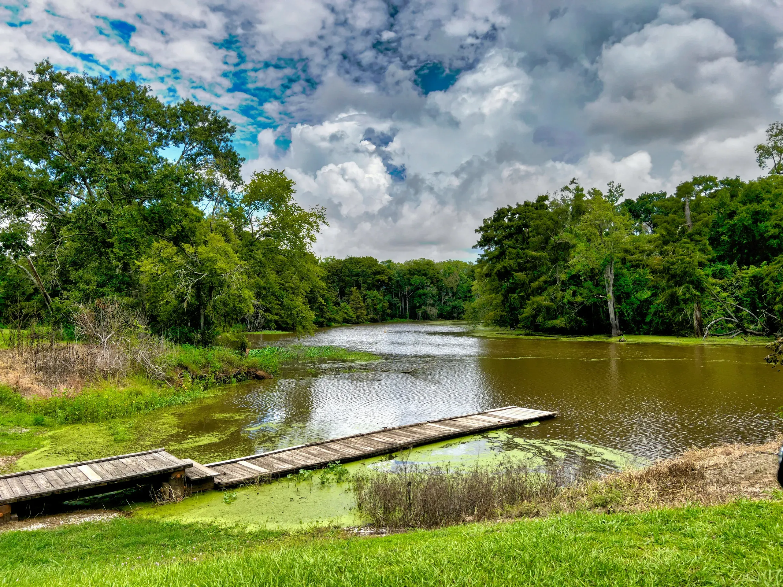 A wooden boat dock sits on the grassy bank of a Louisiana bayou under a cloudy sky.