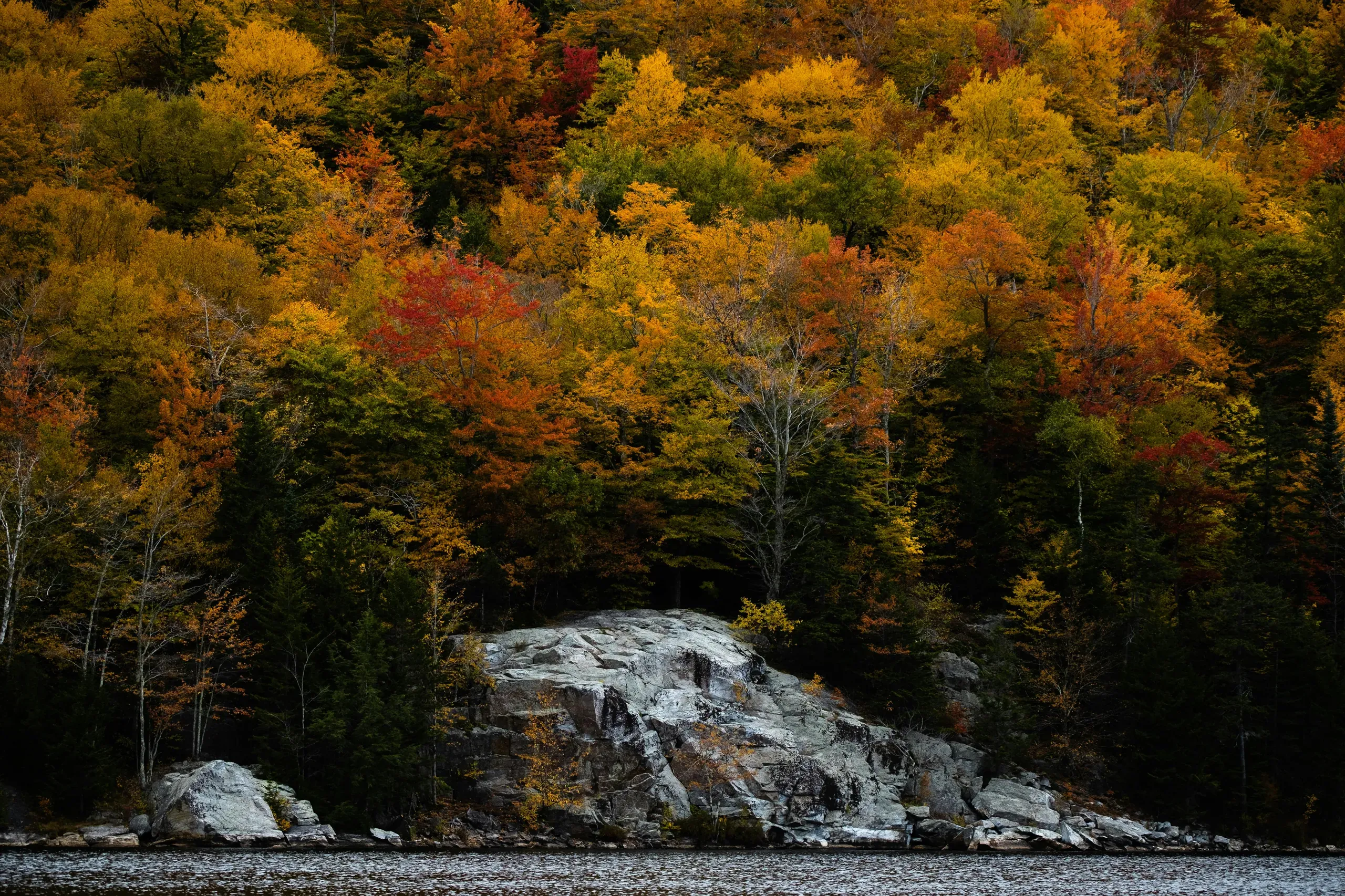 Vermont