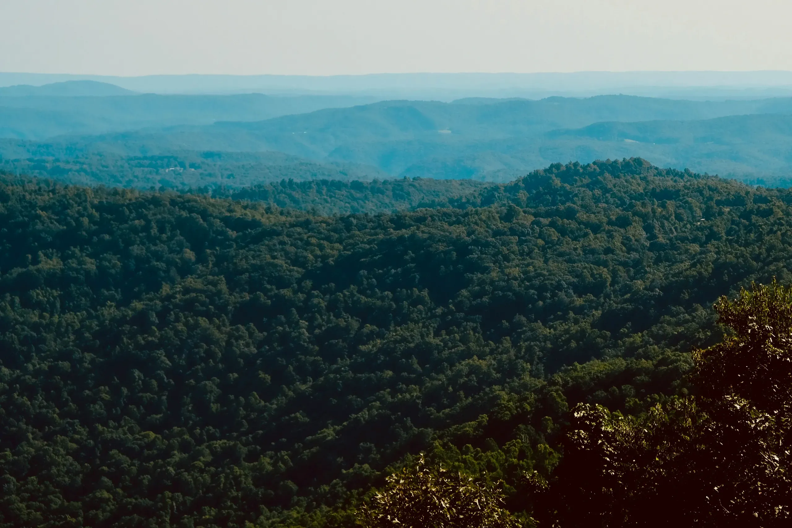 West Virginia