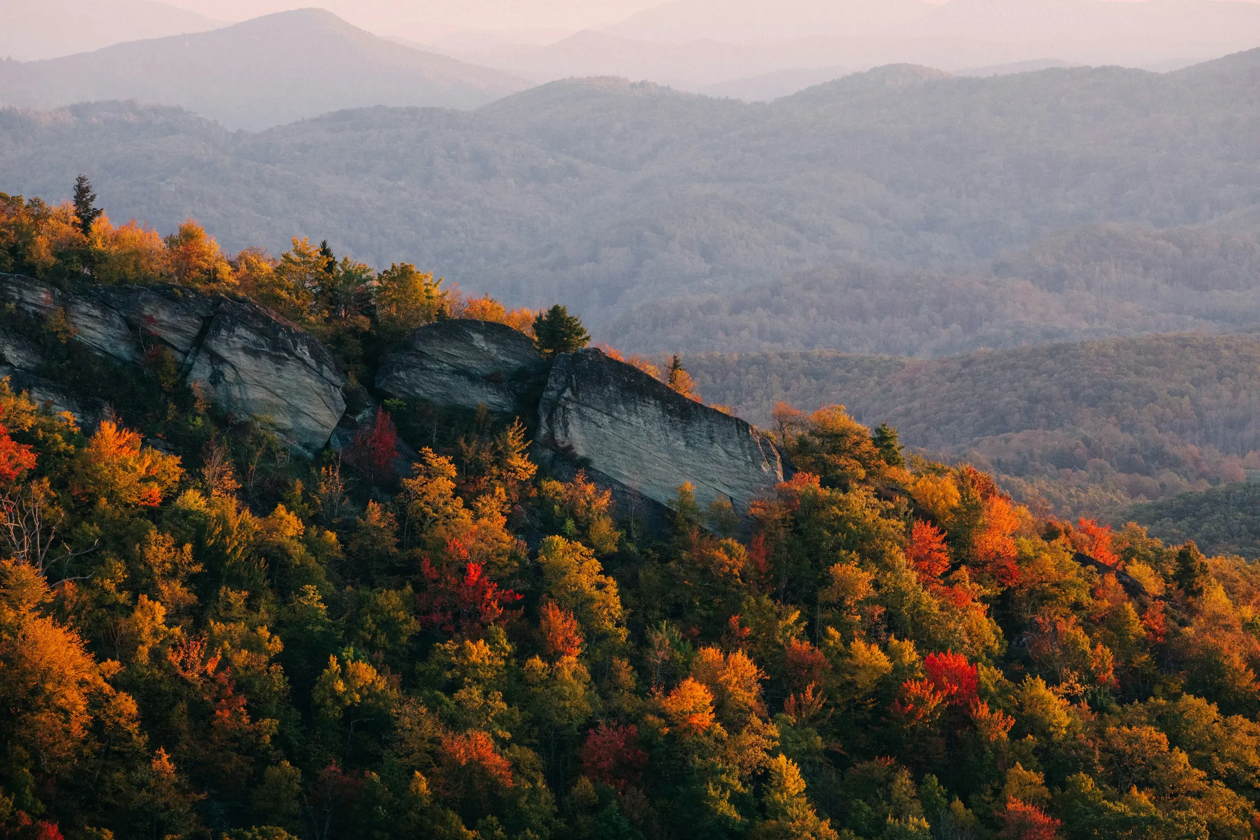Grandfather Mountain, North Carolina. Rolling mountains in autumn with forest in foreground