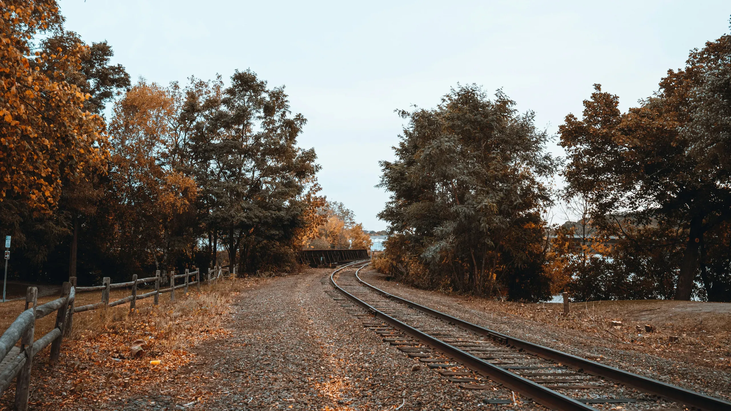 Railway tracks curve through trees with autumn leaves, with the Penobscot River visible in the background, in Bangor, Maine.