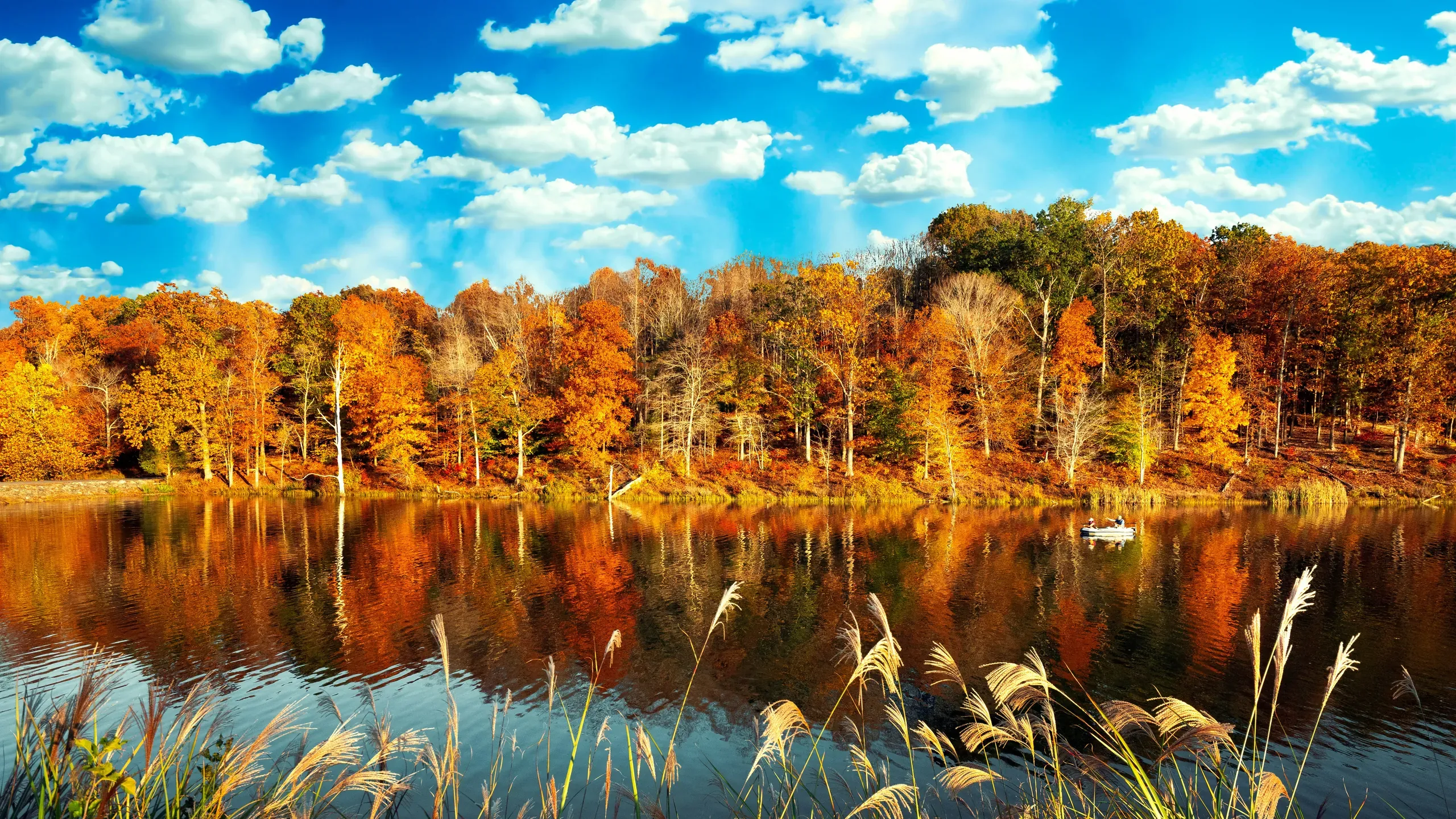 Maryland
