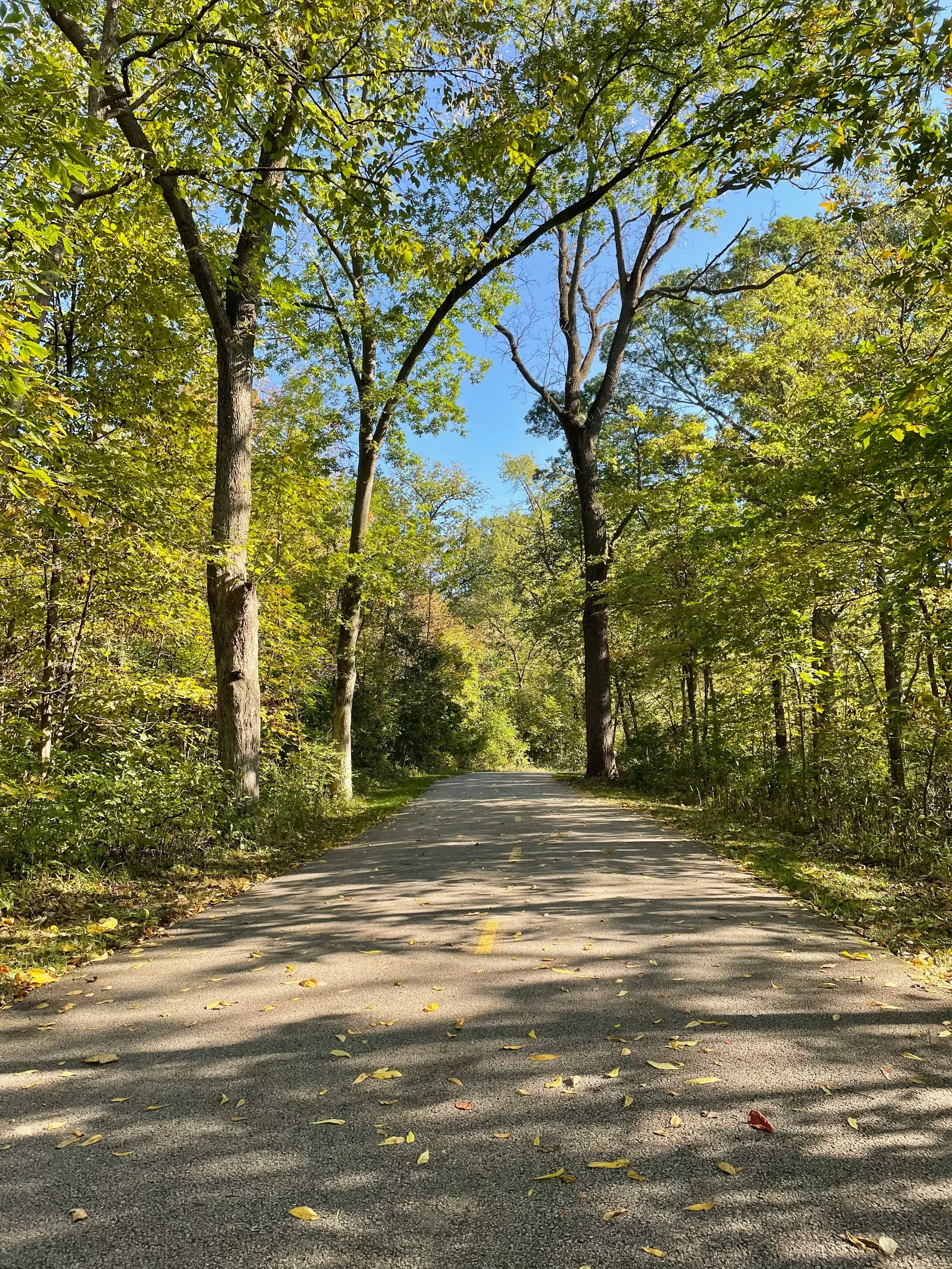 Knoch Knolls Park, Naperville, Illinois