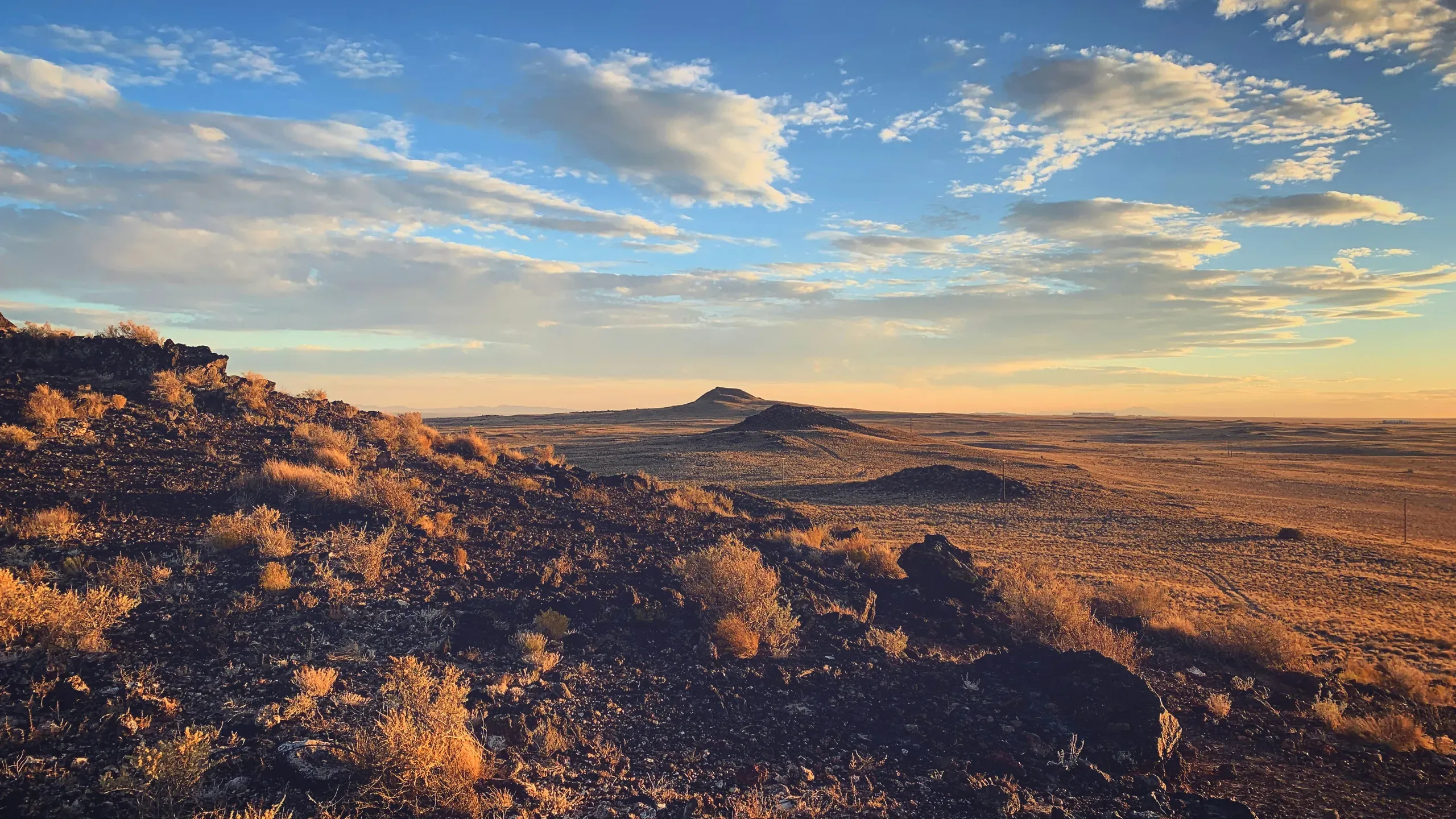 Albuquerque, New Mexico