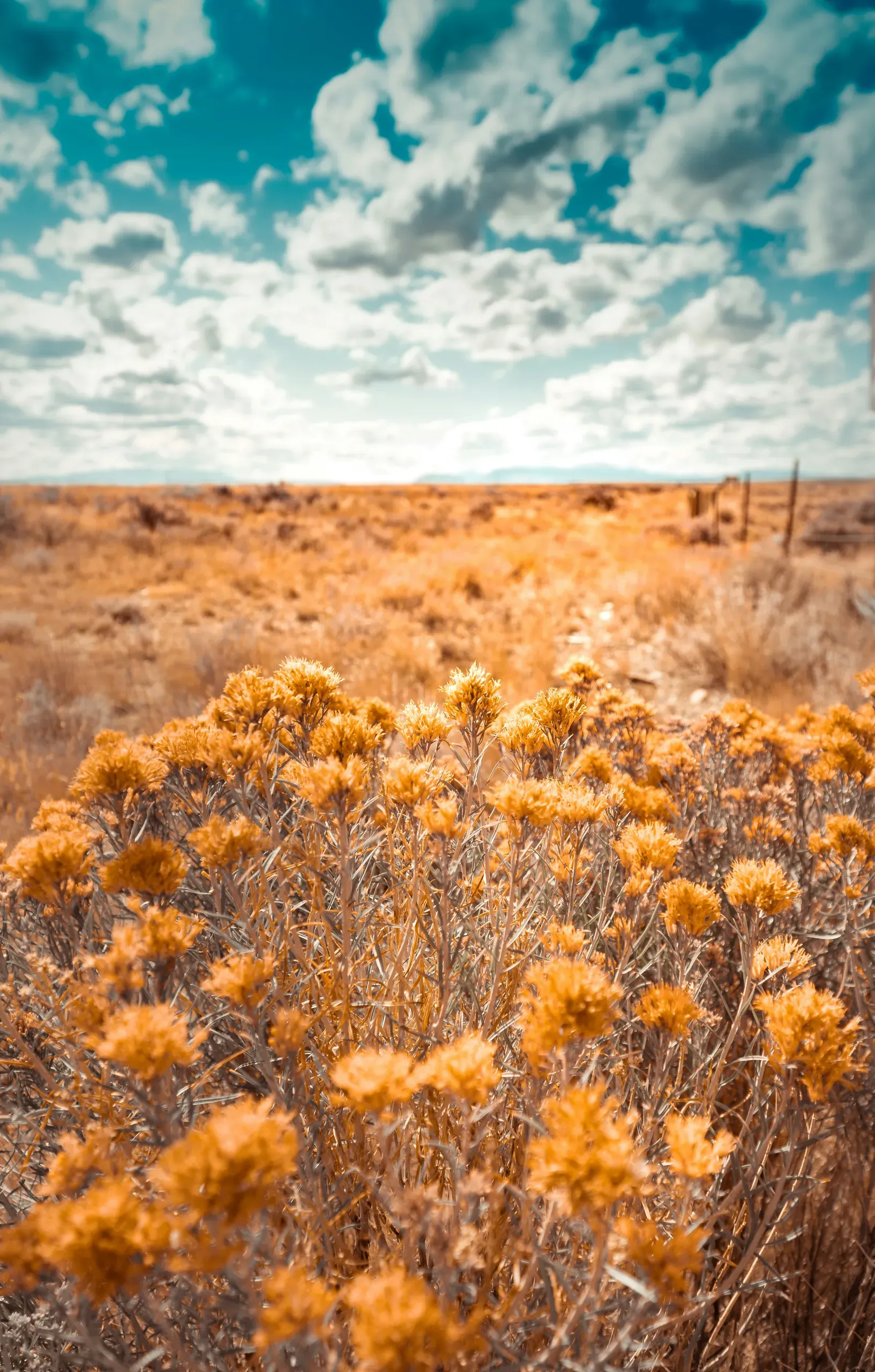 South Dakota