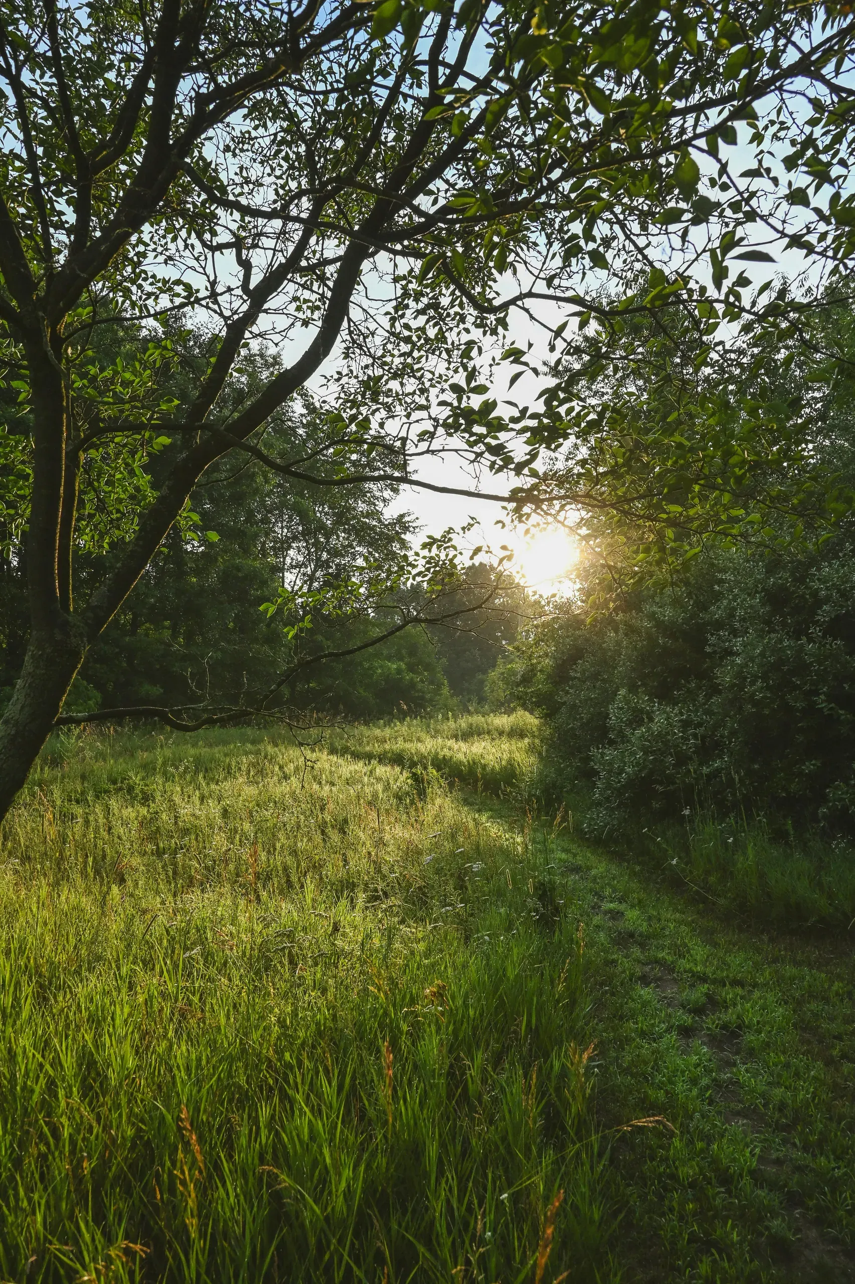 Alto, Michigan