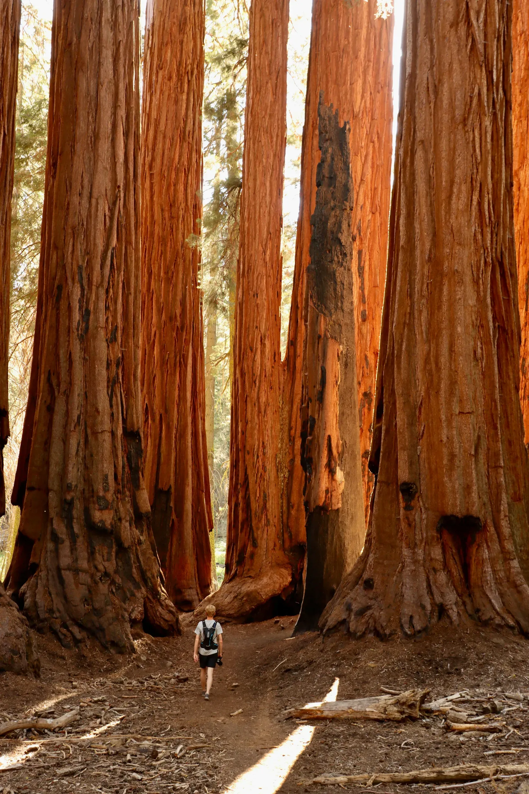 Sequoia National Forest, California