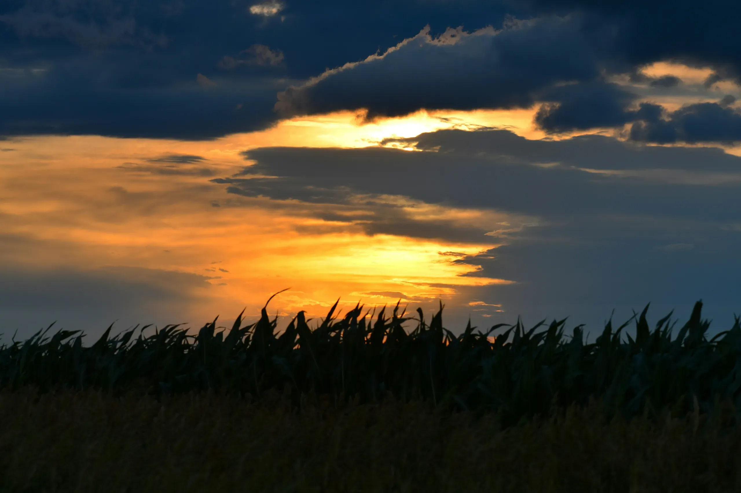 A moody sky and sunset, after tornado-producing weather closed out over a Nebraska cornfield.