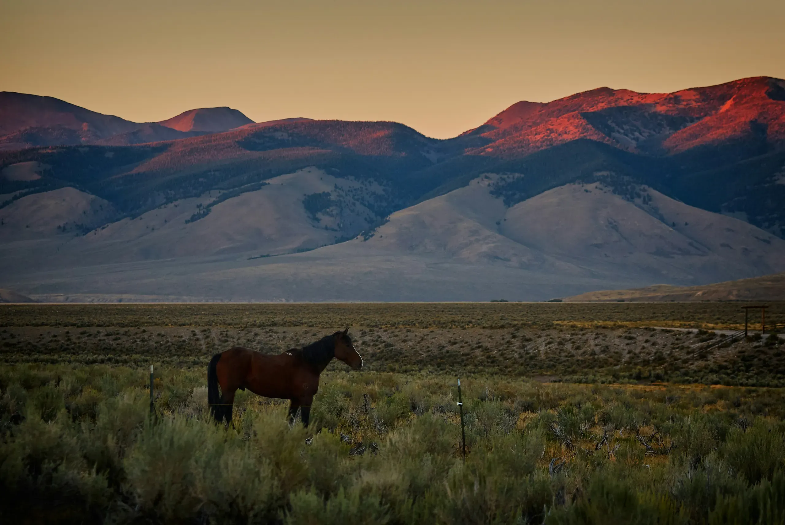 Idaho