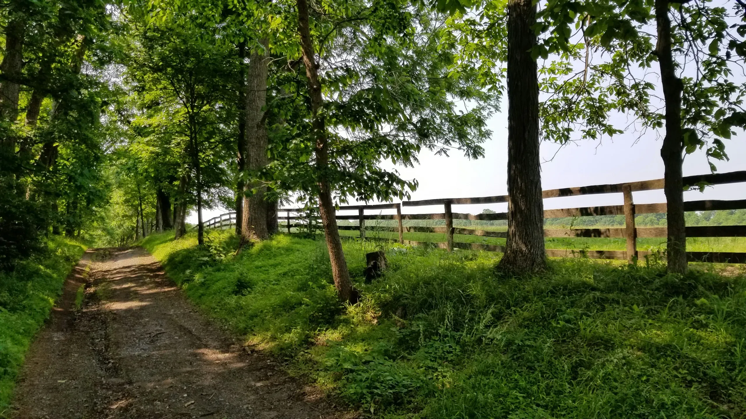 Pennsylvania horse farm