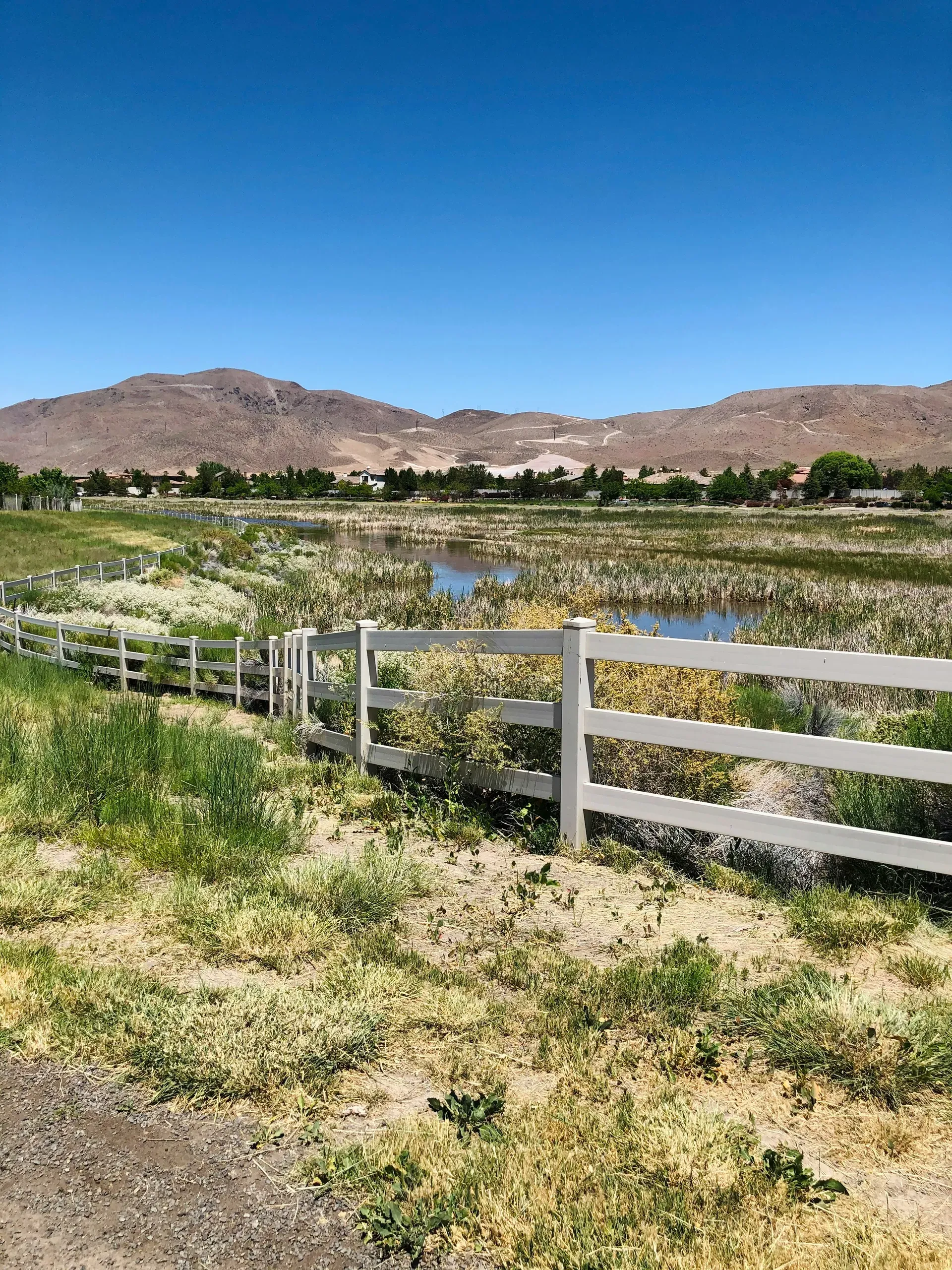 Hiking trail, Reno, Nevada