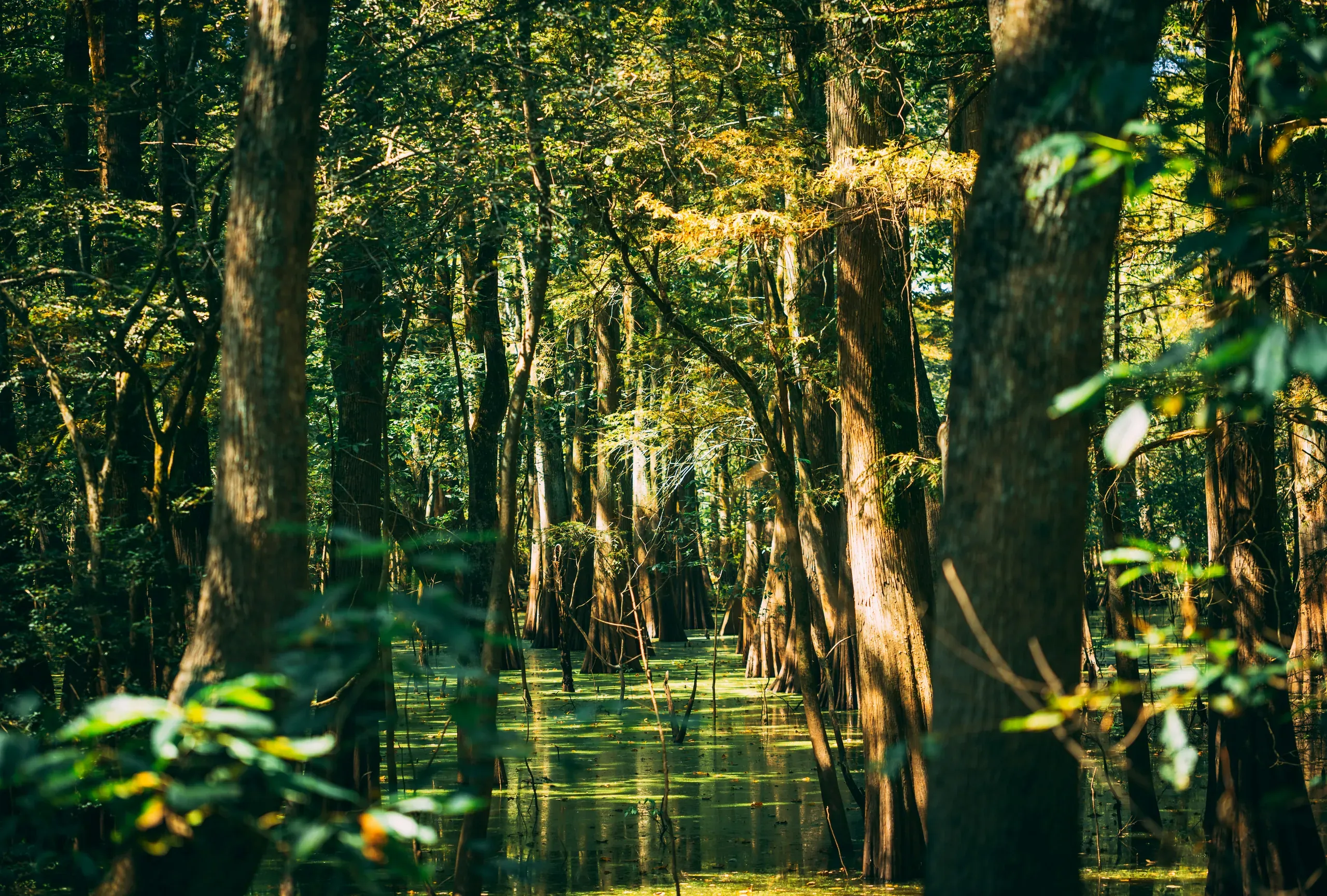 Mississippi