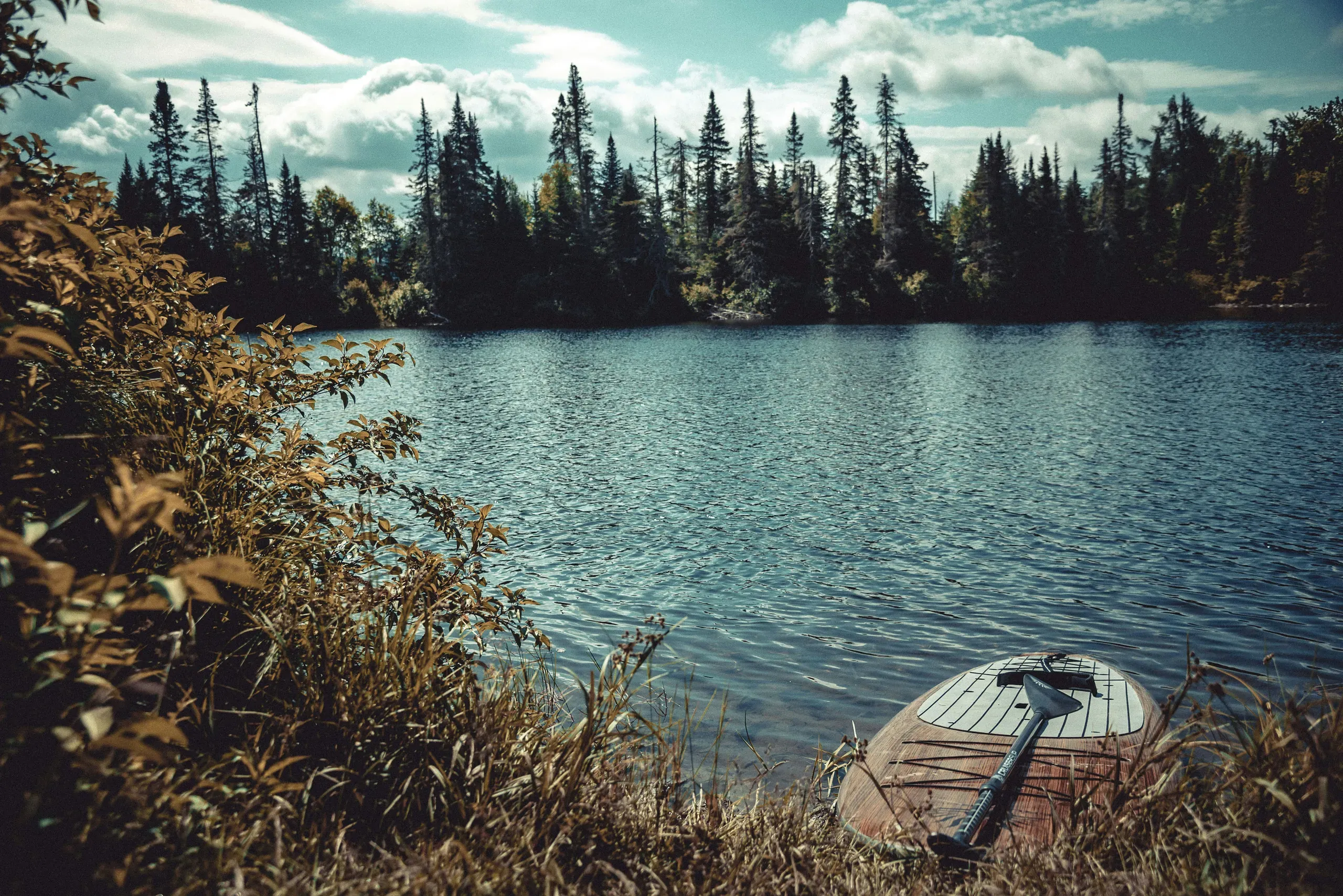 New Hampshire. Paddle board rests on shore. Overgrown weeds and grass block some of the water. It's a quiet day.