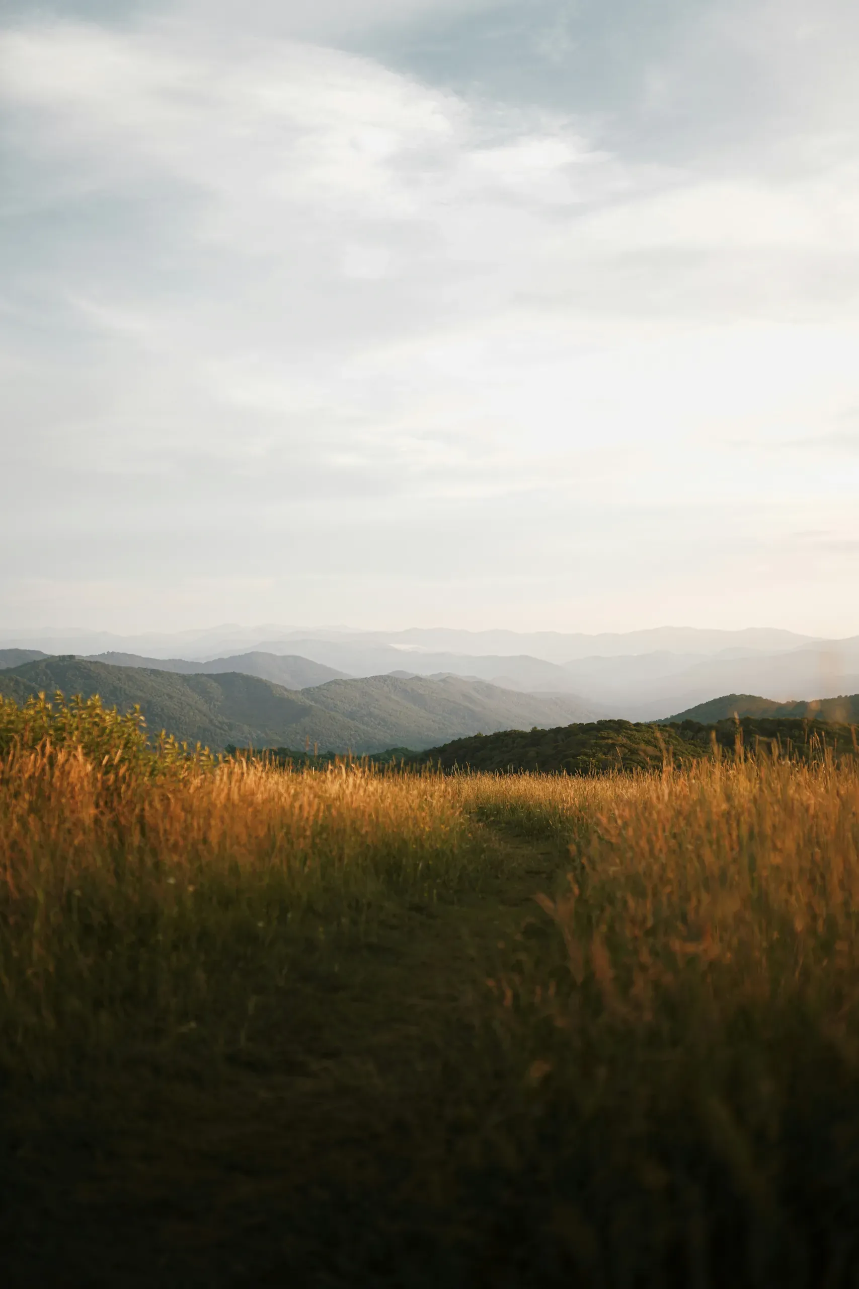 Max Patch Mountain, Hot Springs, North Carolina - sunset