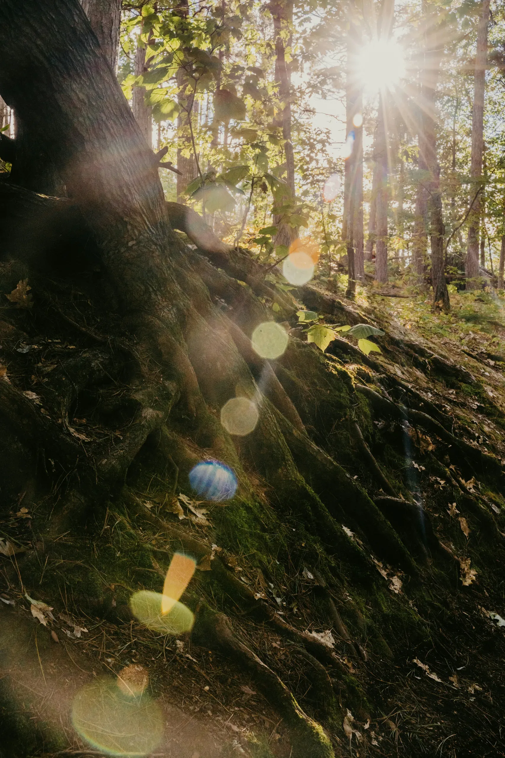 Sugarloaf Mountain, Marquette, Michigan