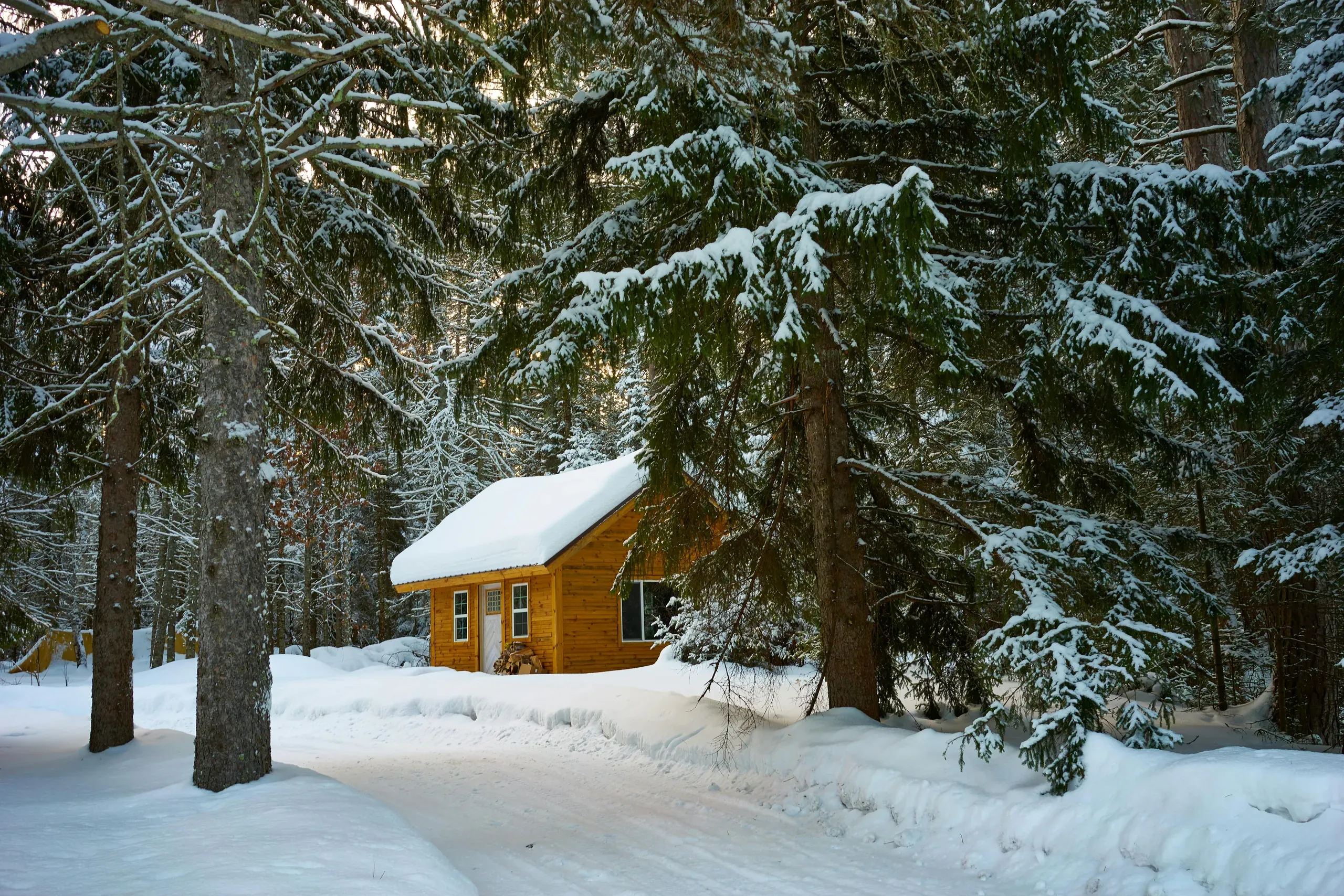 Duluth, Minnesota. Brown house near pine trees covered with snow