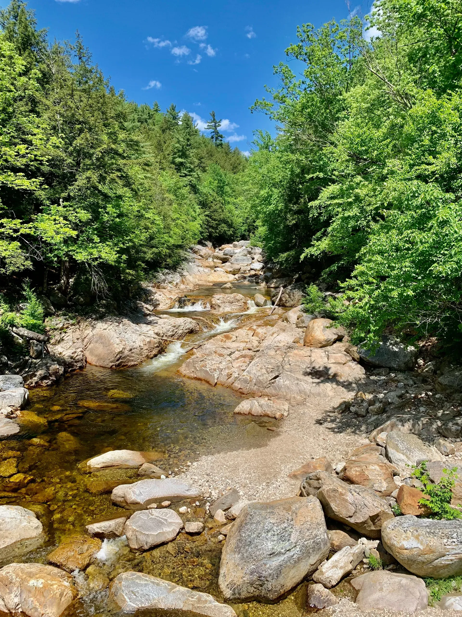Mount Tabor, Vermont. Rocky river in between green trees